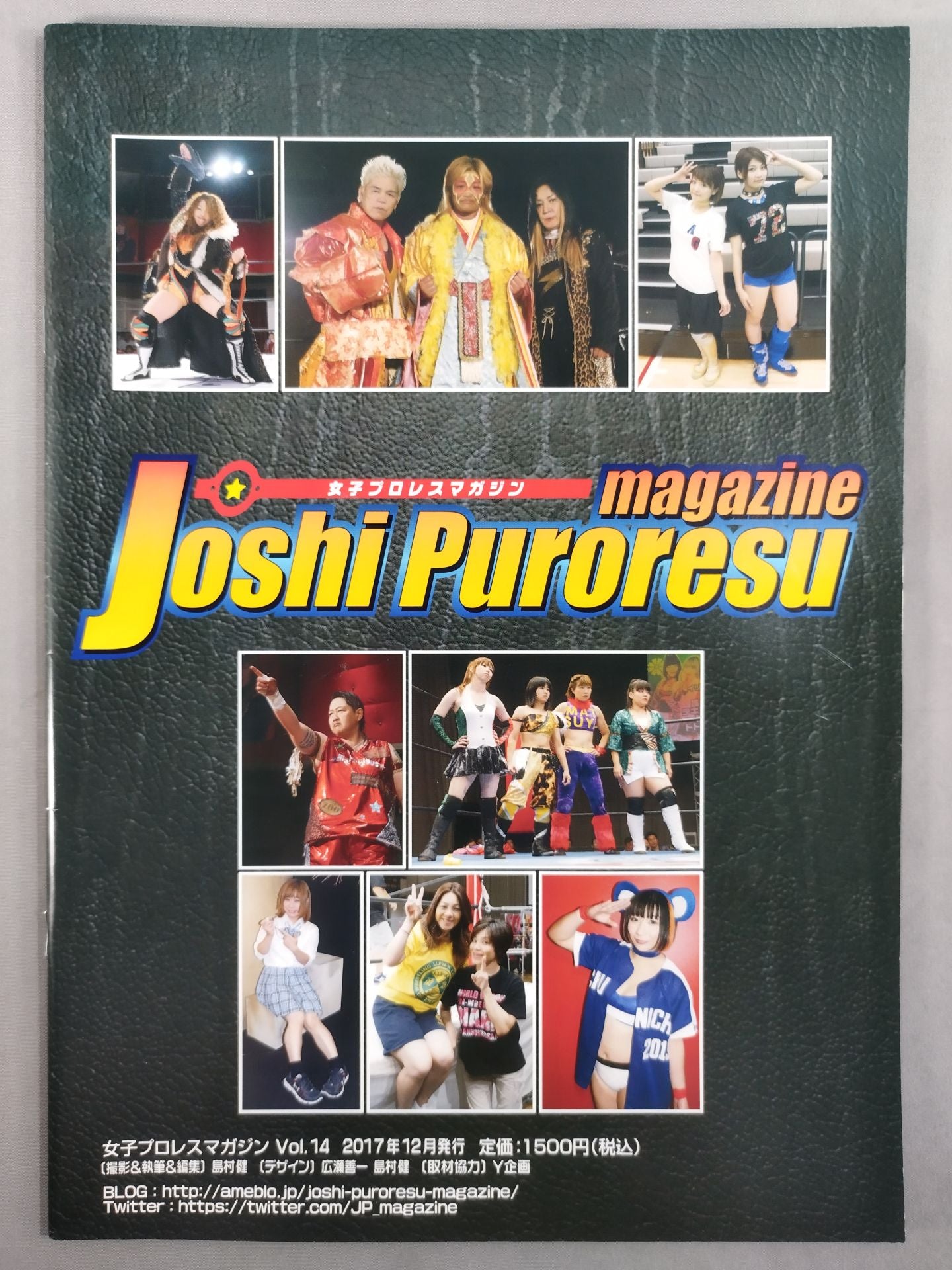 Women's Pro Wrestling Magazine Vol.14