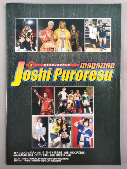 Women's Pro Wrestling Magazine Vol.14