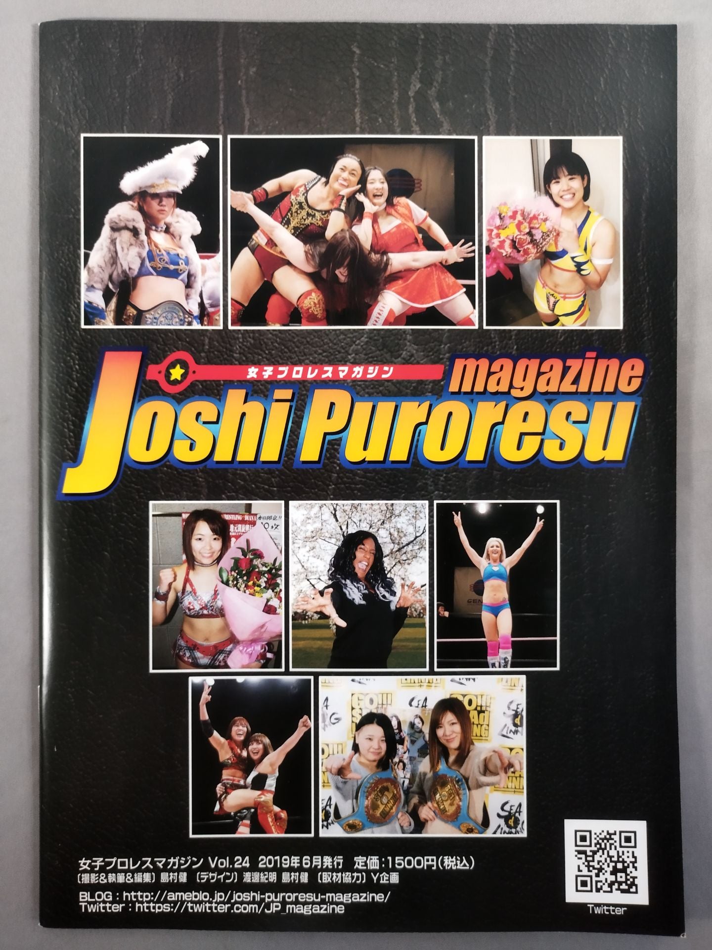 女子プロレスマガジン Vol.24