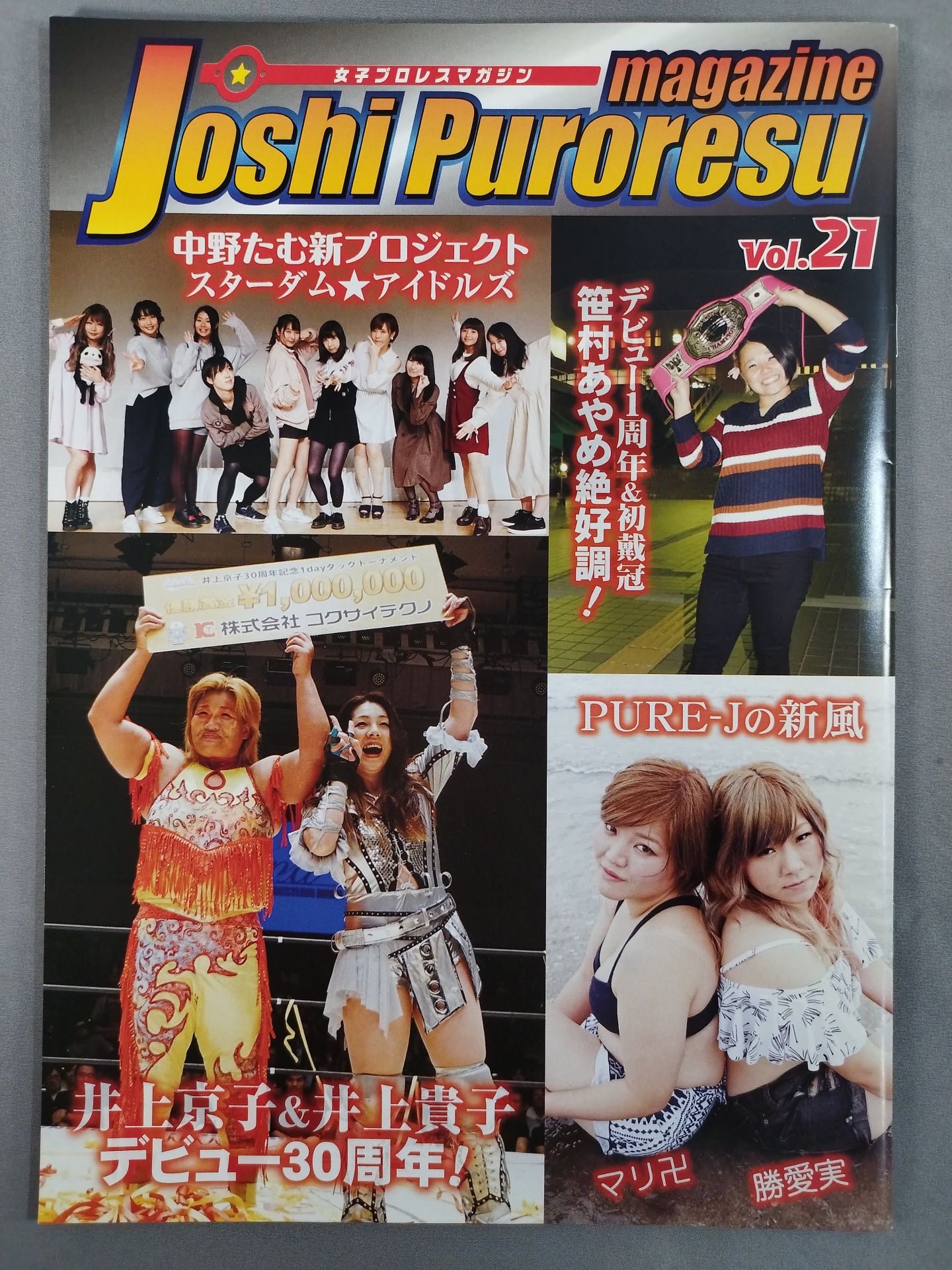 女子プロレスマガジン Vol.21