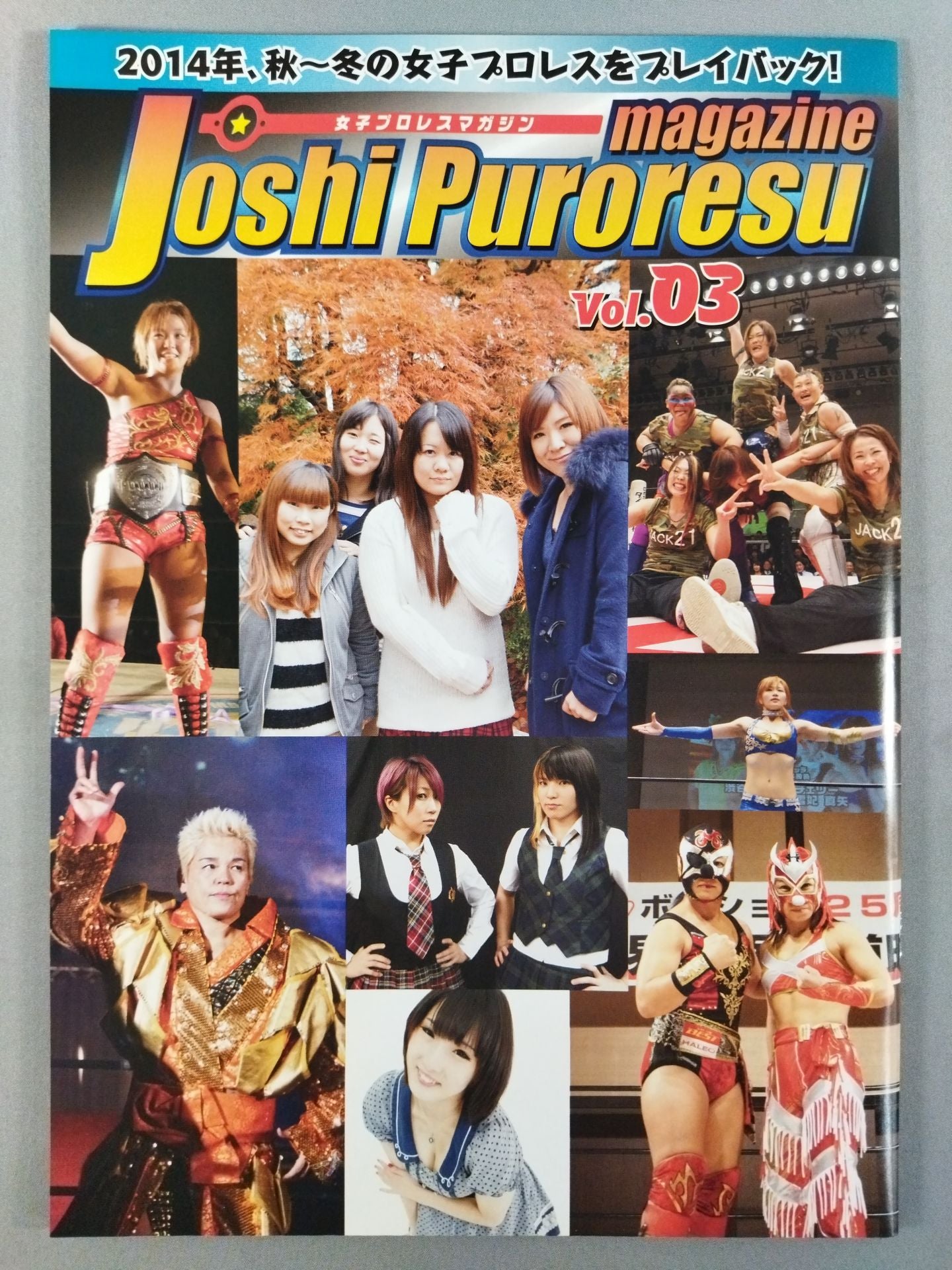 女子プロレスマガジン Vol.3