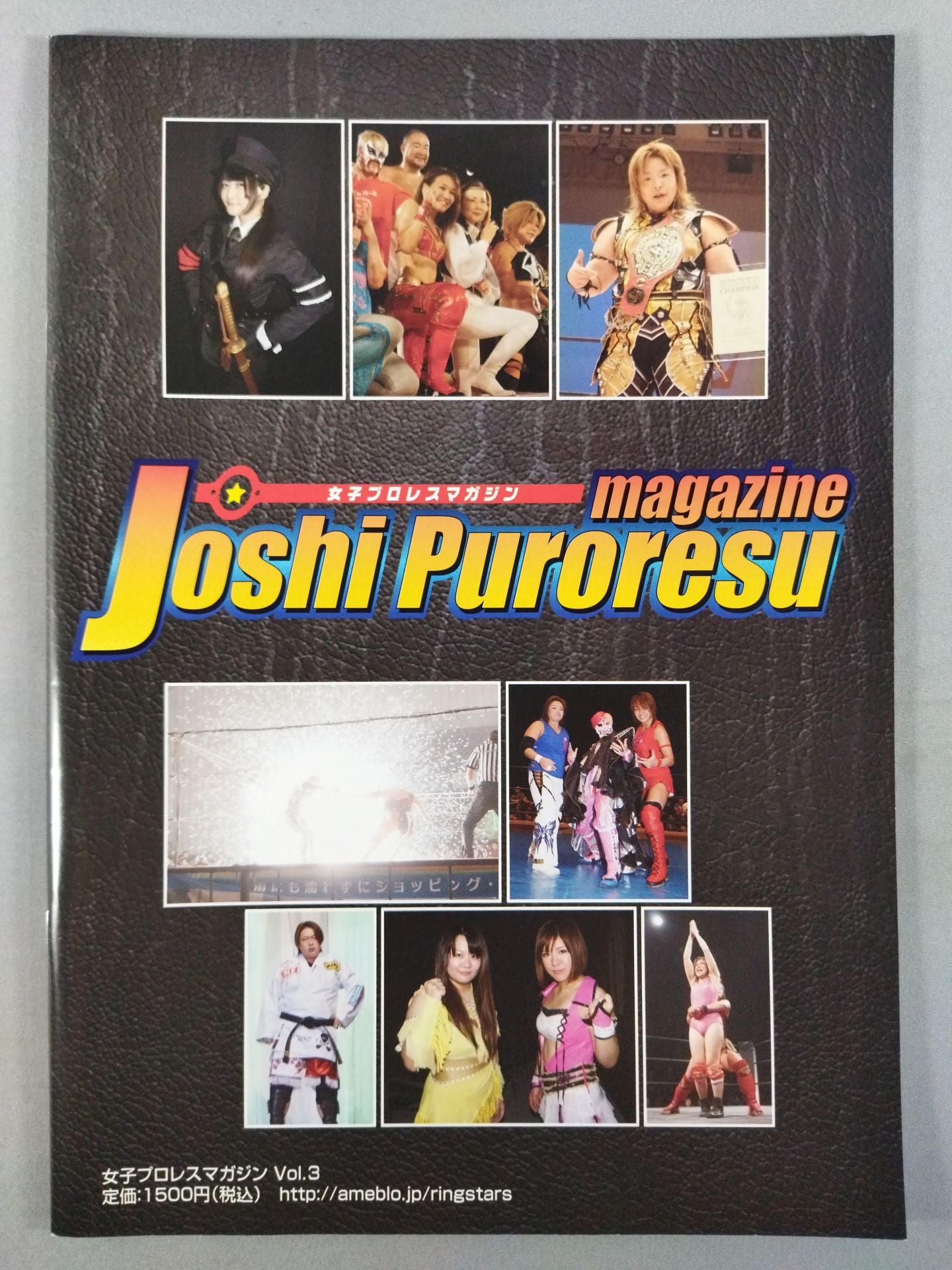 女子プロレスマガジン Vol.3