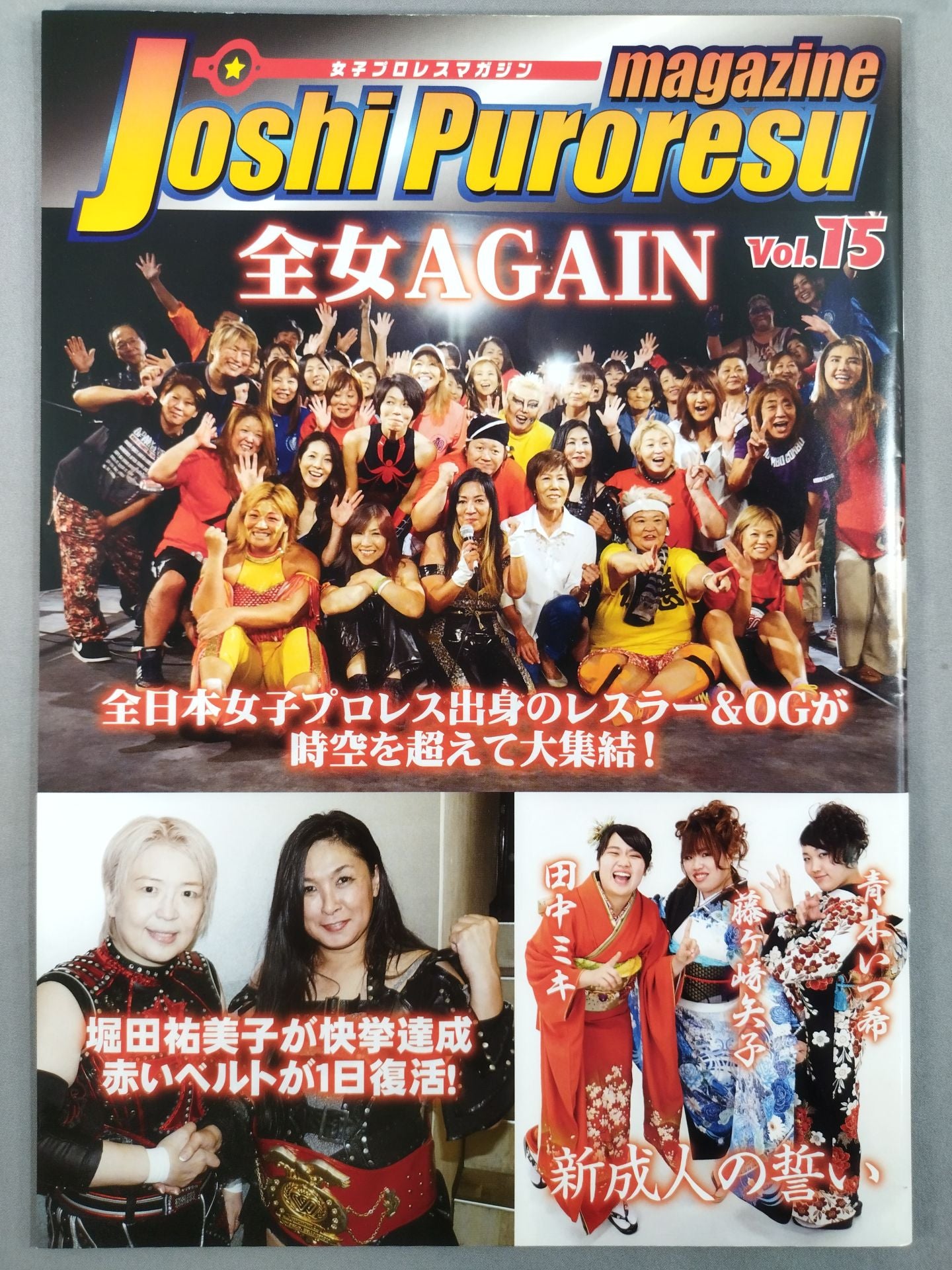 女子プロレスマガジン Vol.15