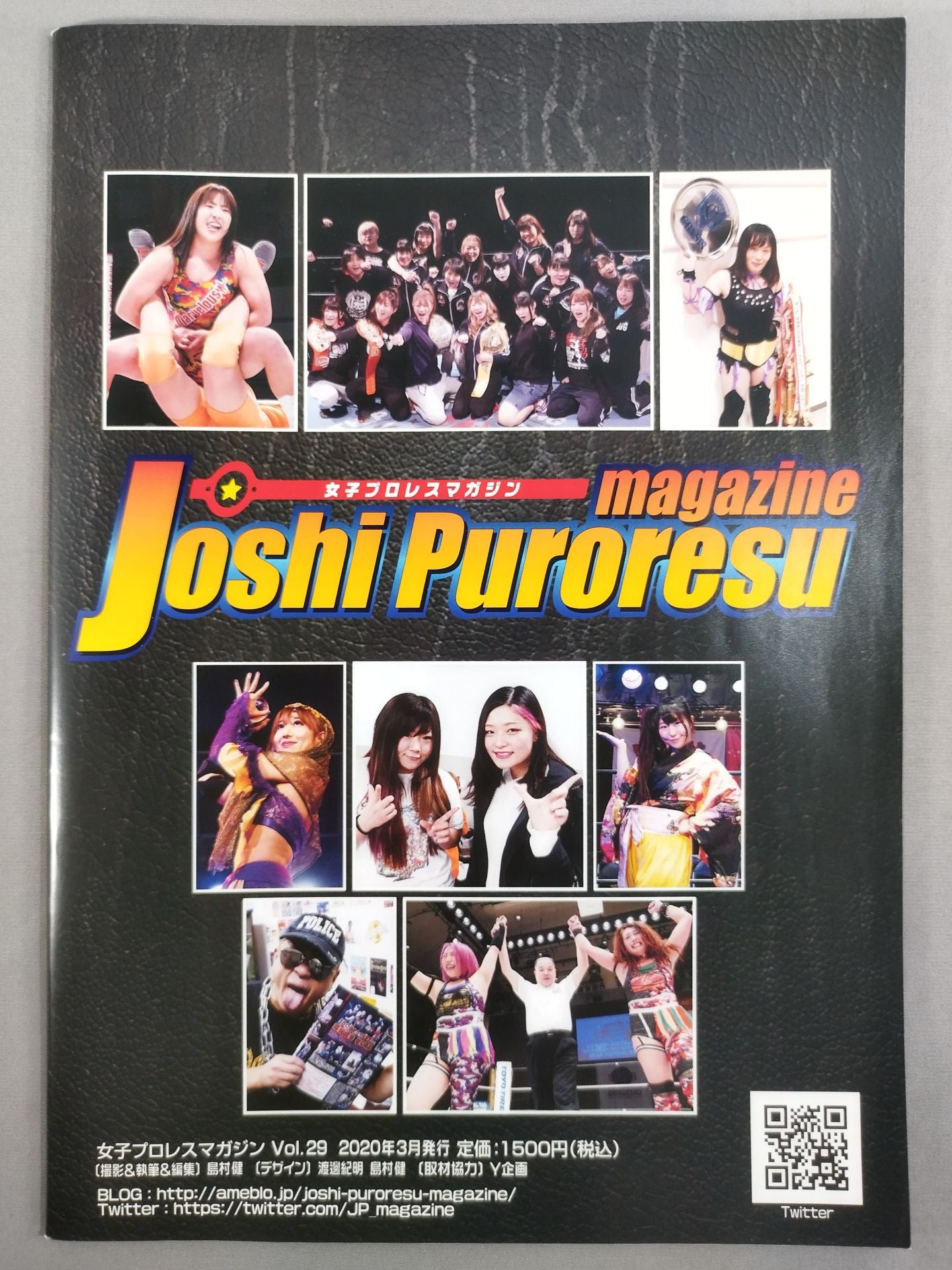 女子プロレスマガジン Vol.29
