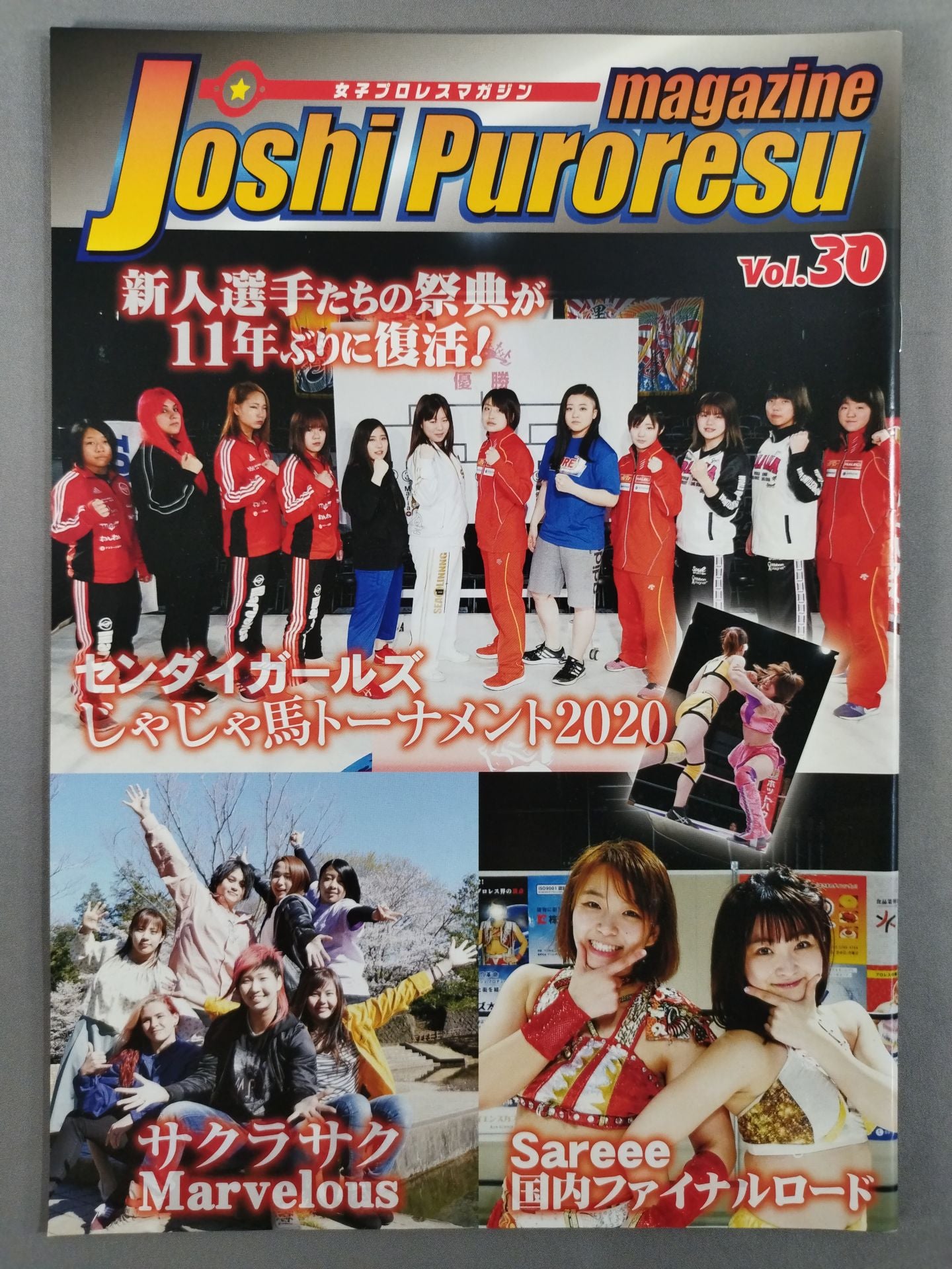 女子プロレスマガジン Vol.30