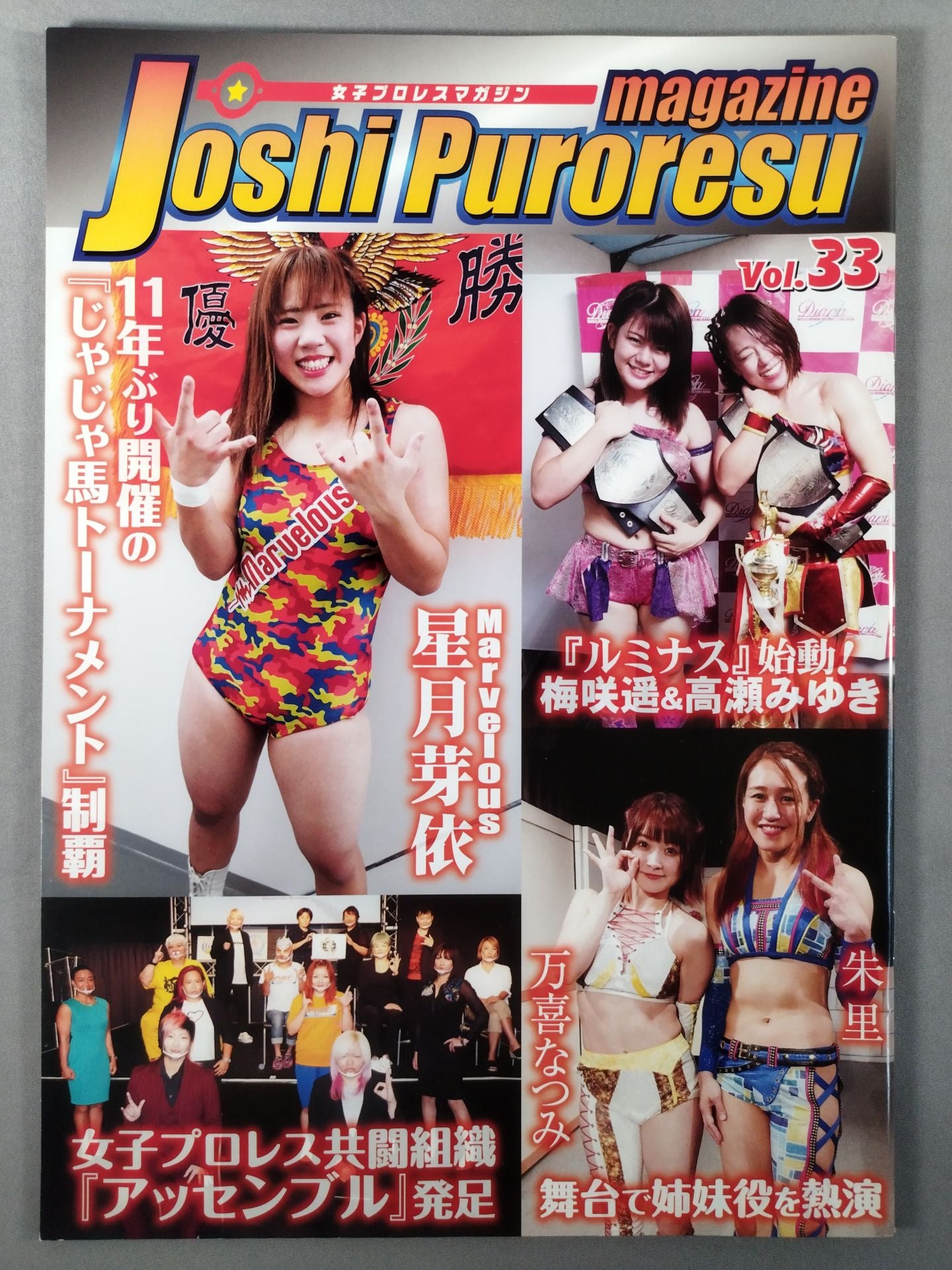 女子プロレスマガジン Vol.33