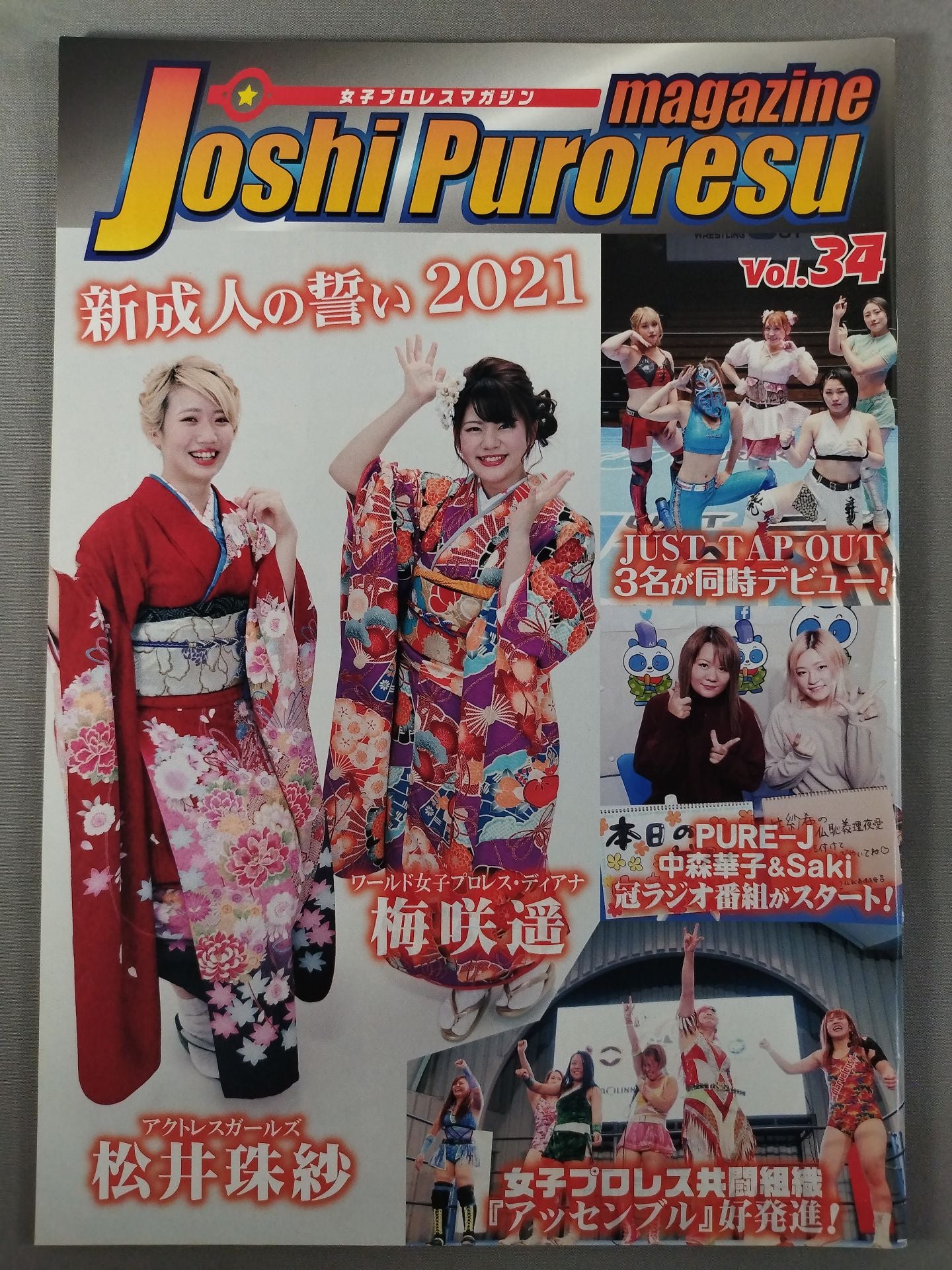 女子プロレスマガジン Vol.34