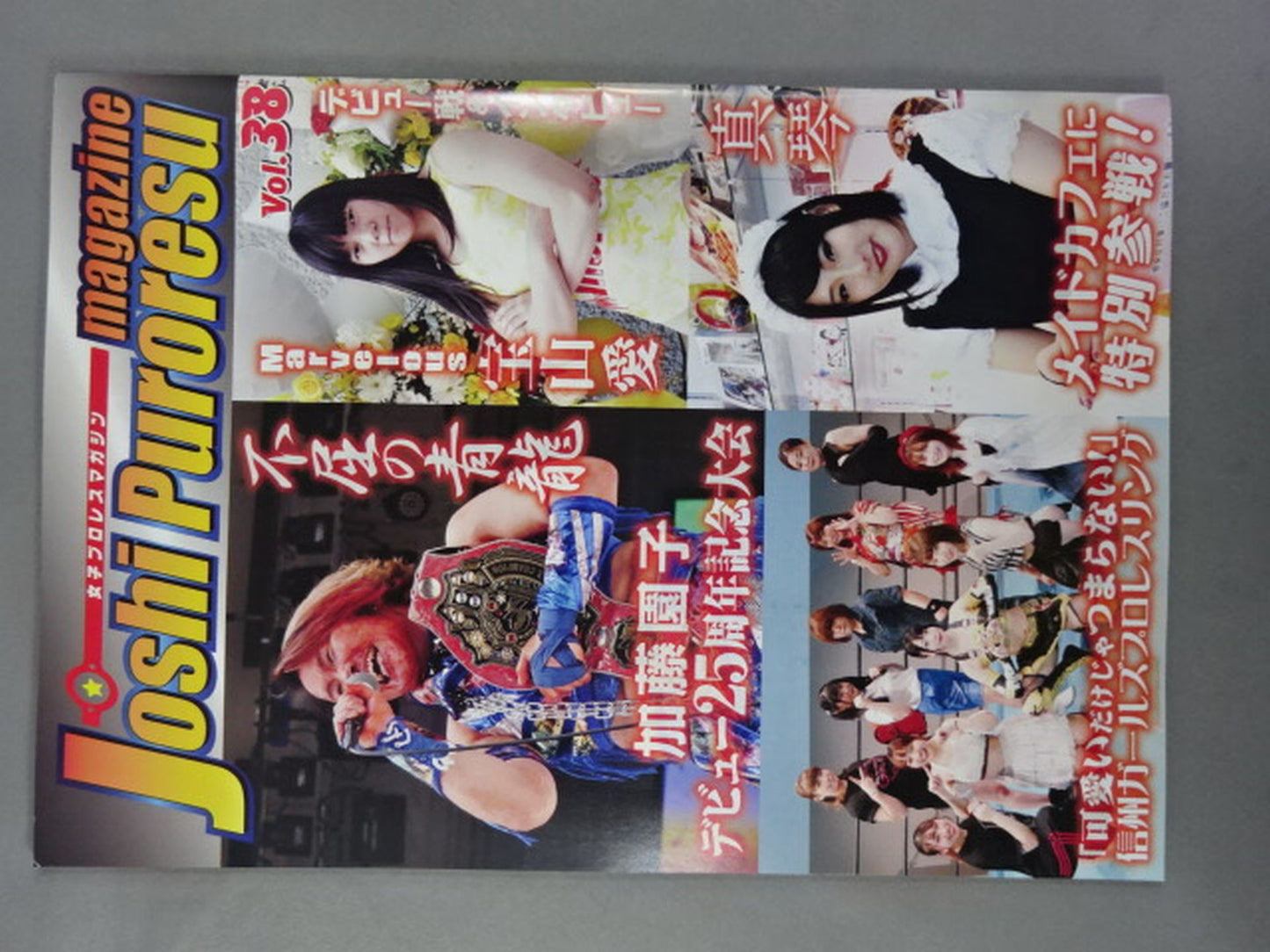 女子プロレスマガジン Vol.38
