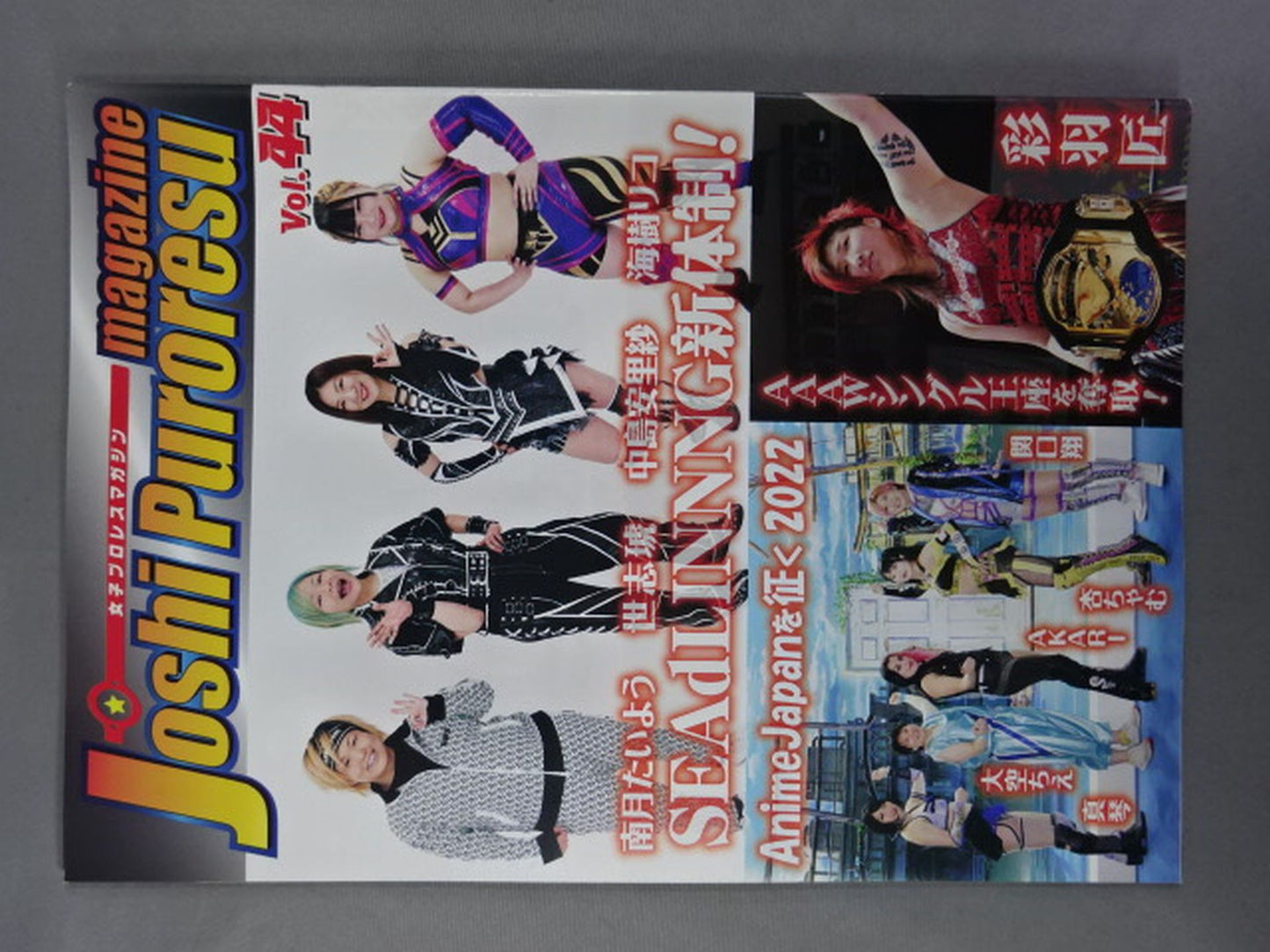 女子プロレスマガジン Vol.44