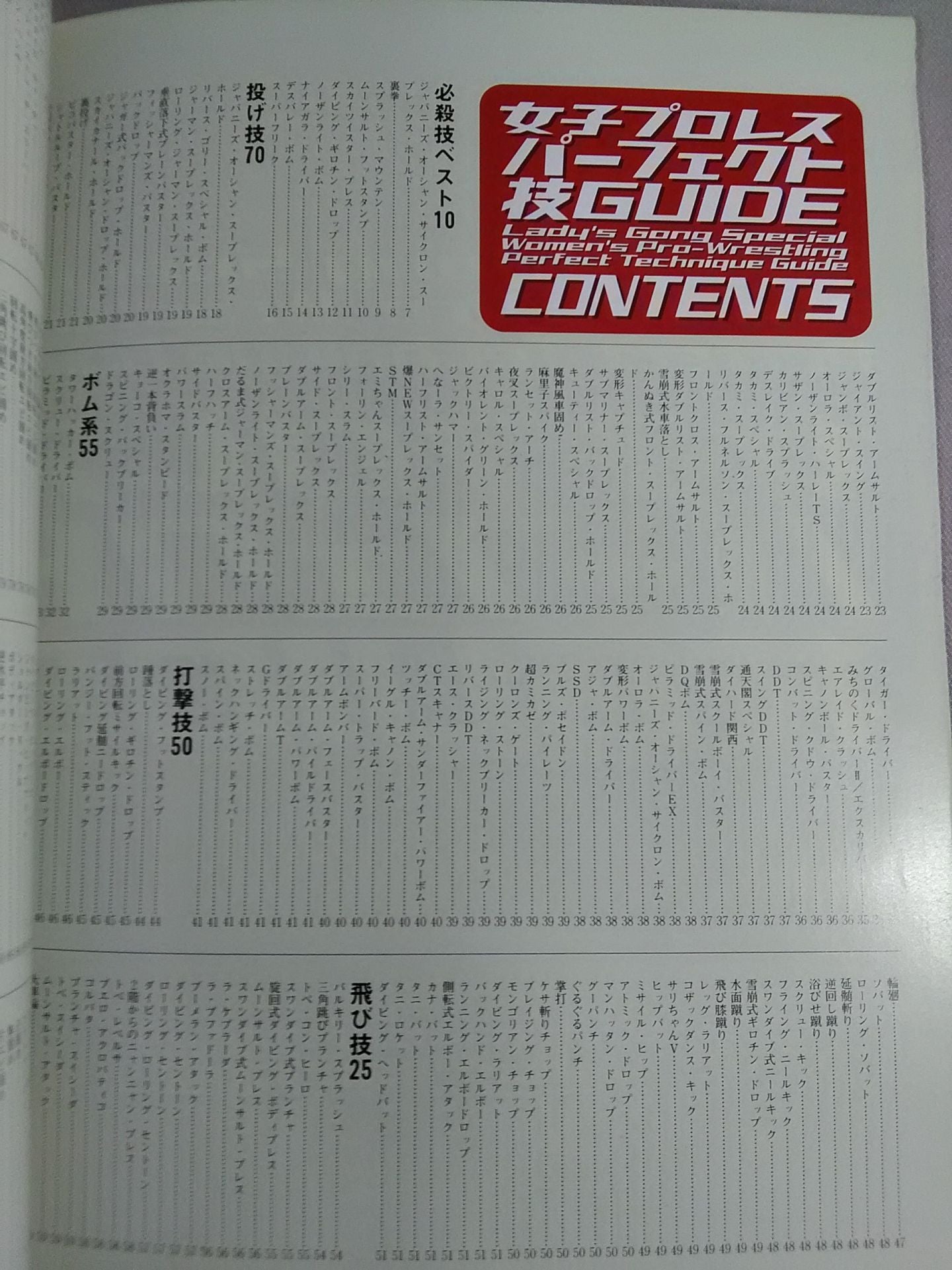 レディースゴング スペシャル パーフェクト技GUIDE