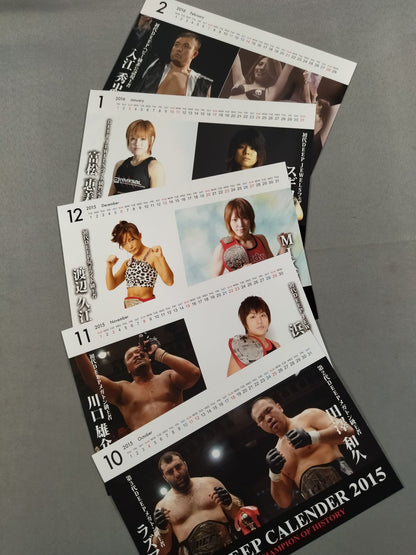 DEEP 2015 Desk Calendar