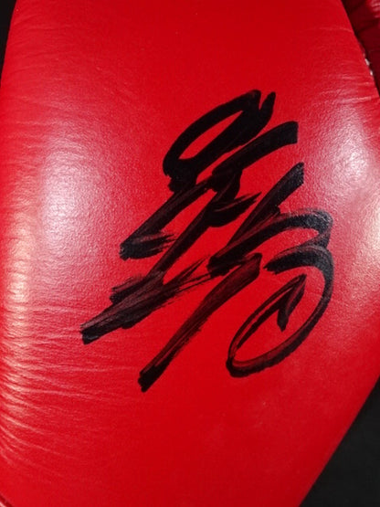 ★10 fighters hand signed autograph ★ K-1 Training Gloves