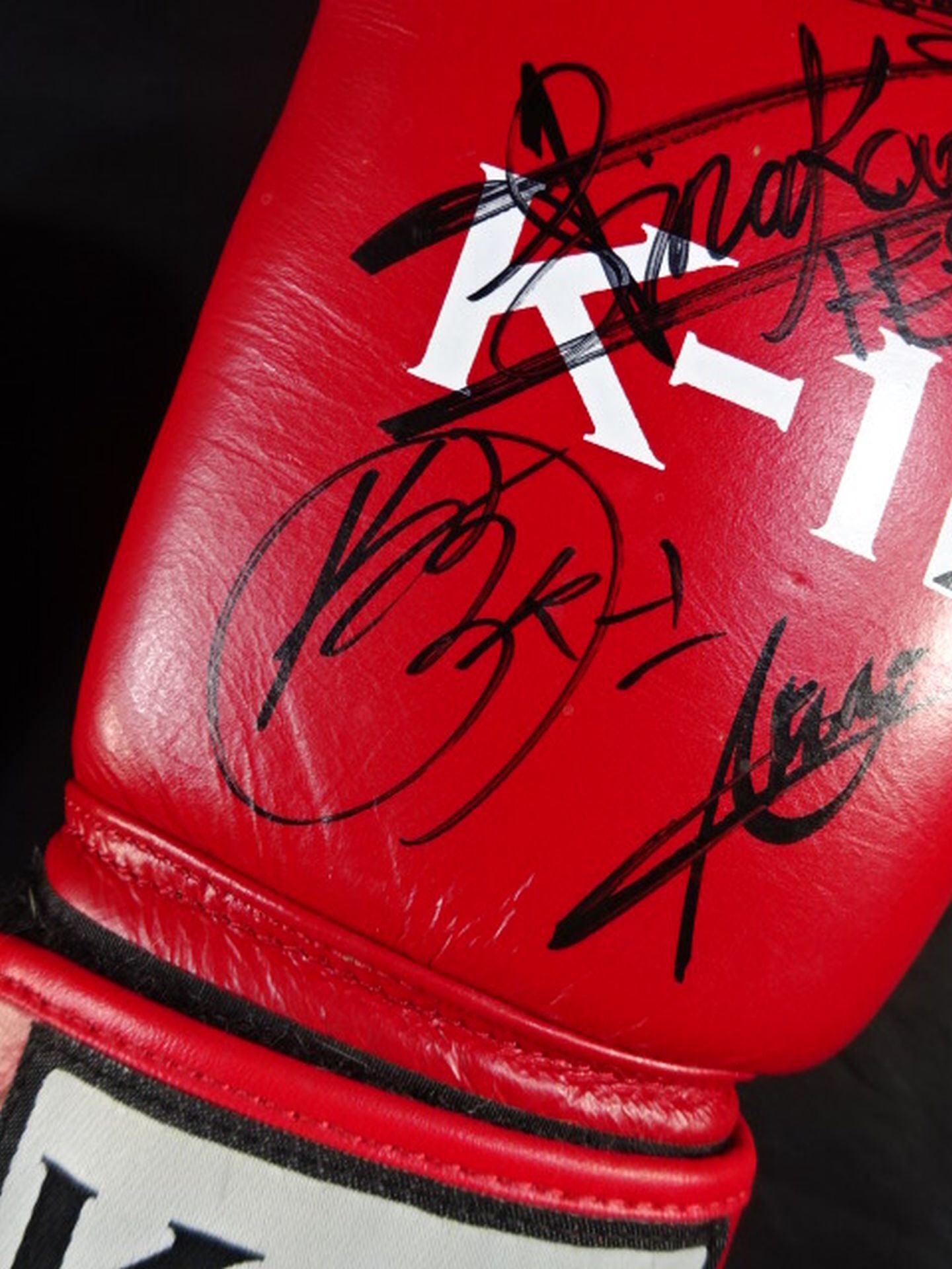 ★10 fighters hand signed autograph ★ K-1 Training Gloves