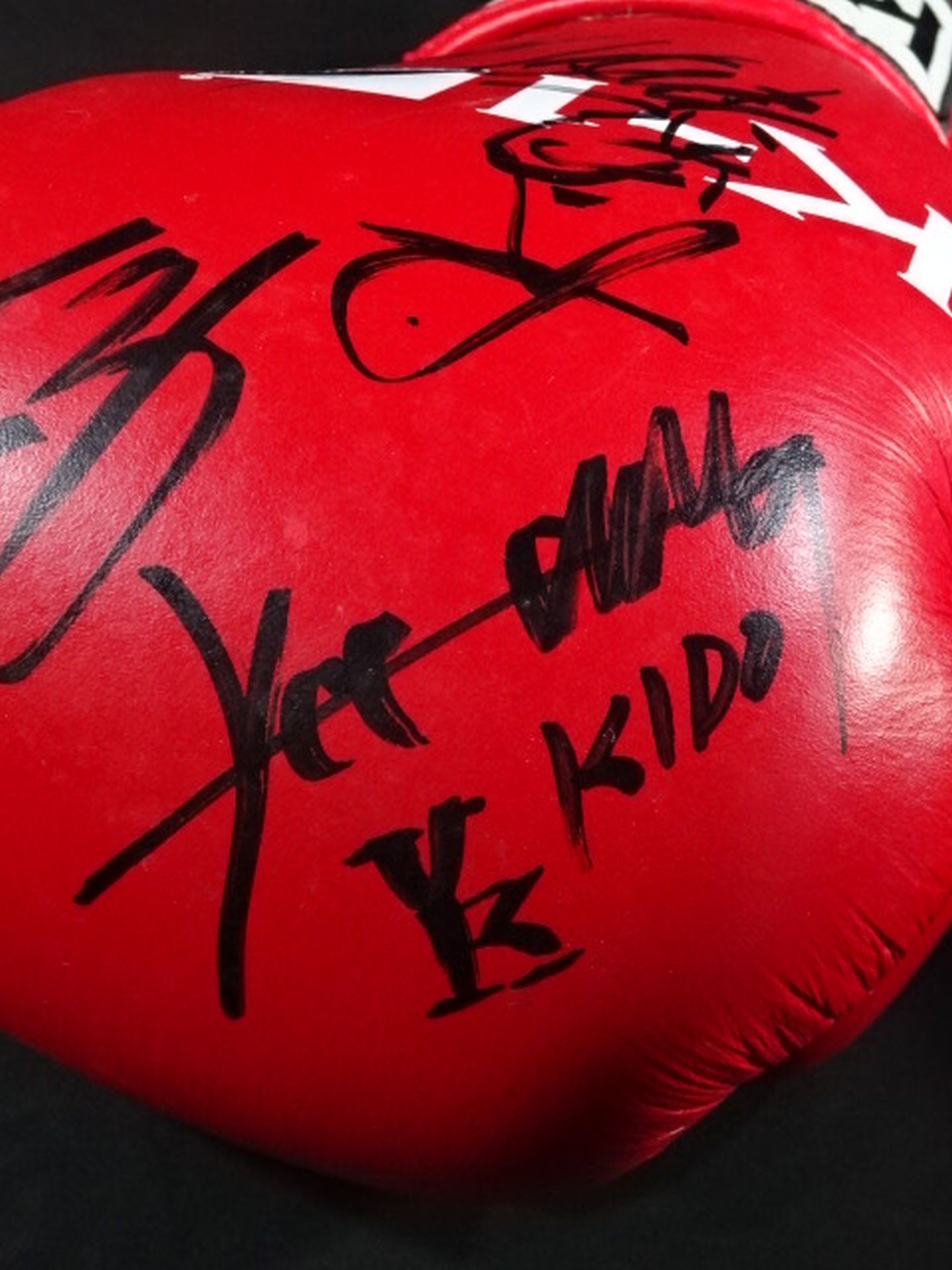 ★10 fighters hand signed autograph ★ K-1 Training Gloves