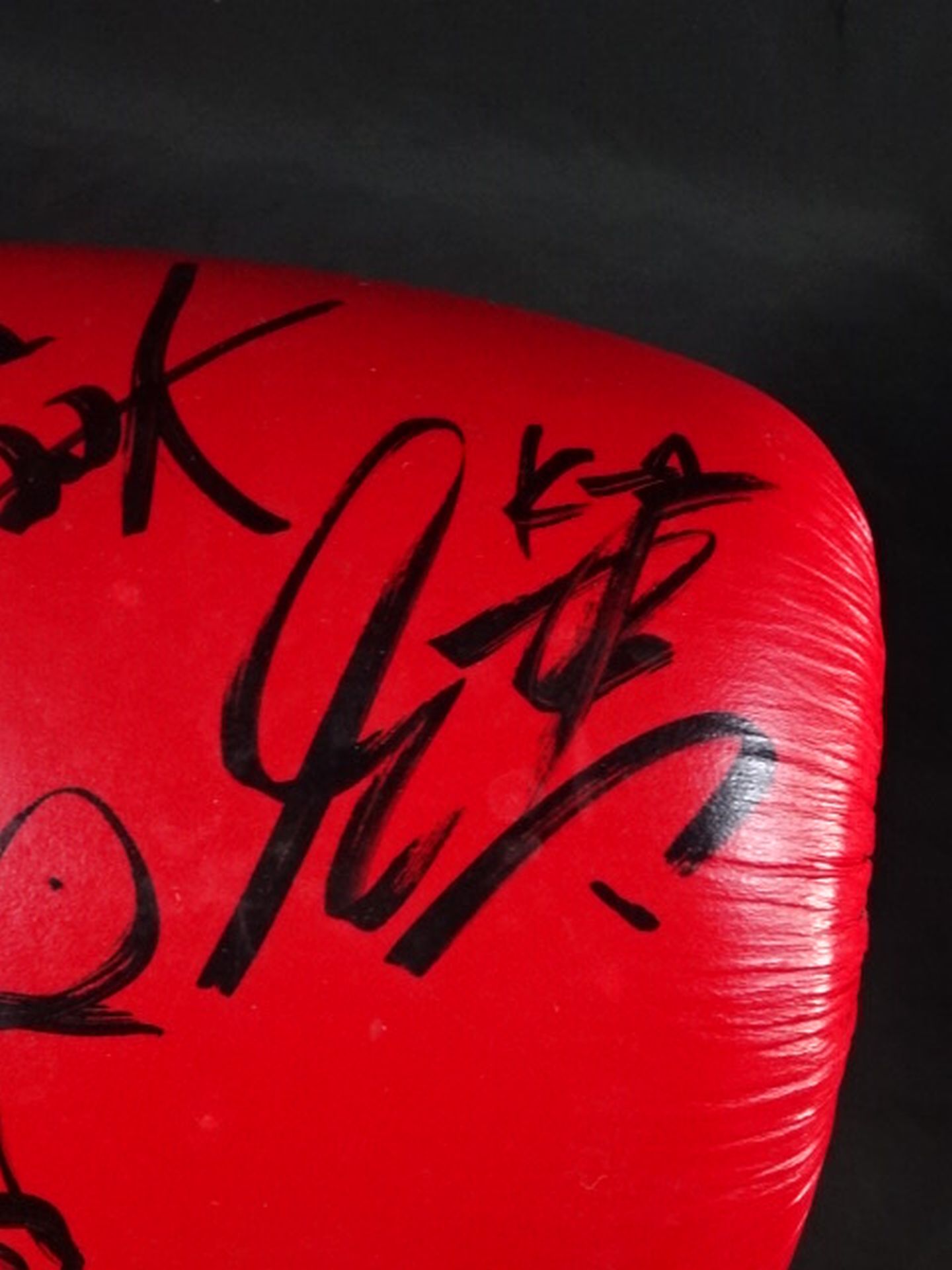 ★10 fighters hand signed autograph ★ K-1 Training Gloves