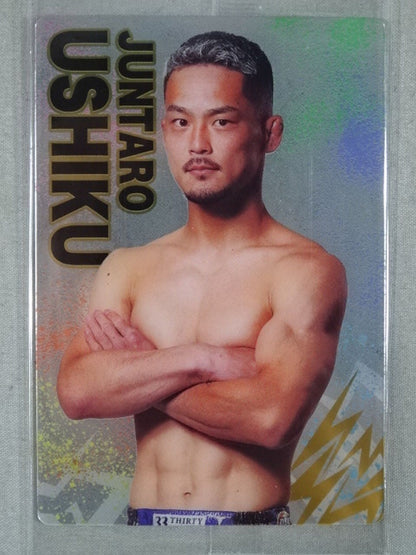RIZIN ウエハースカード 牛久絢太郎
