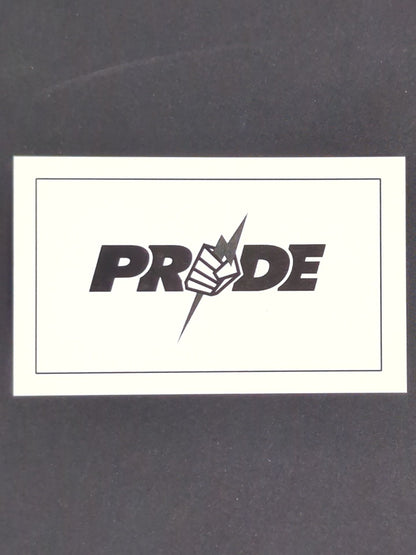 ★PRIDE×Karshr★ Gloves Silver Necklace