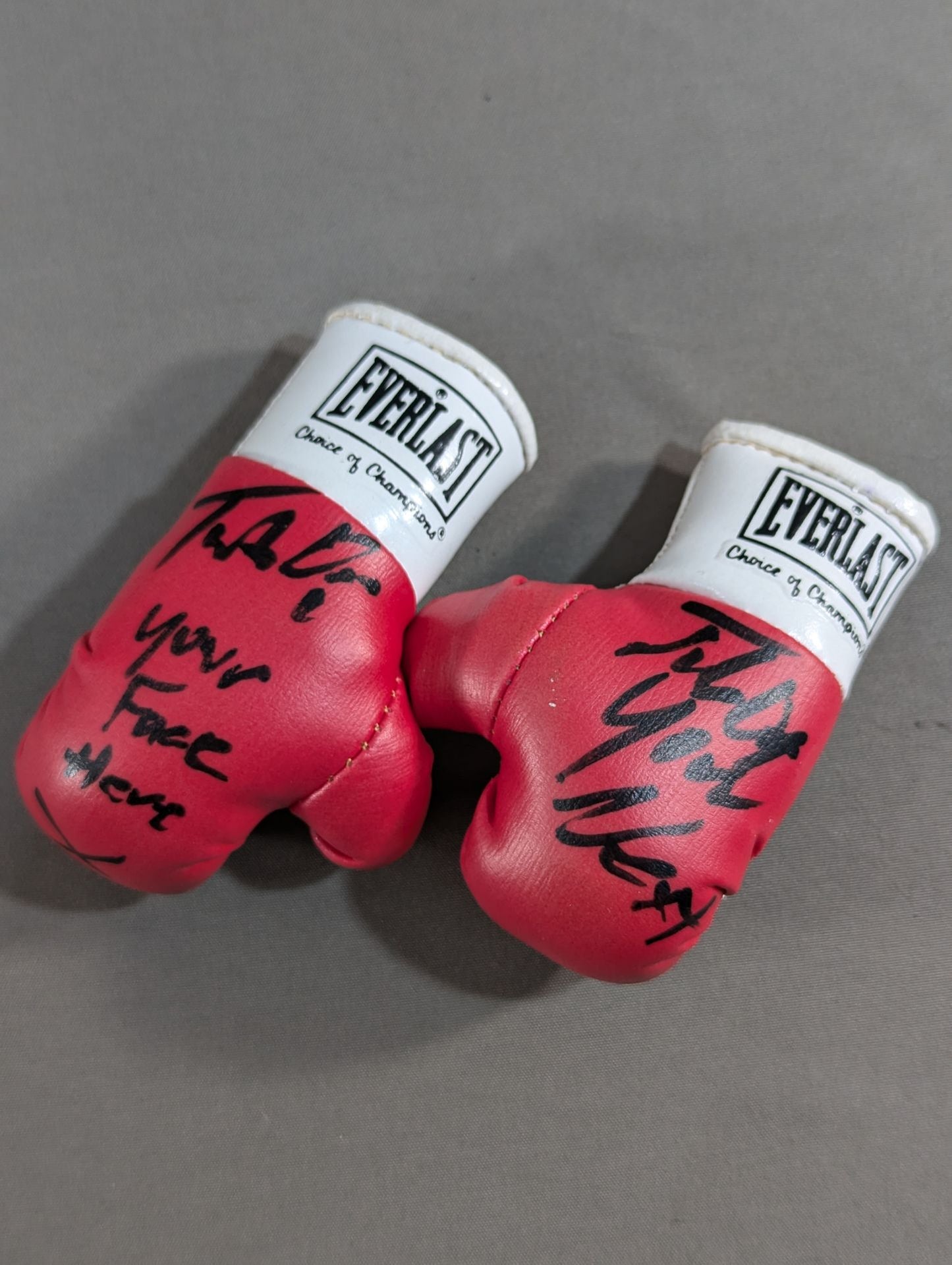 【ティト・オーティズ 直筆サイン入り】EVERLAST ミニチュアグローブ