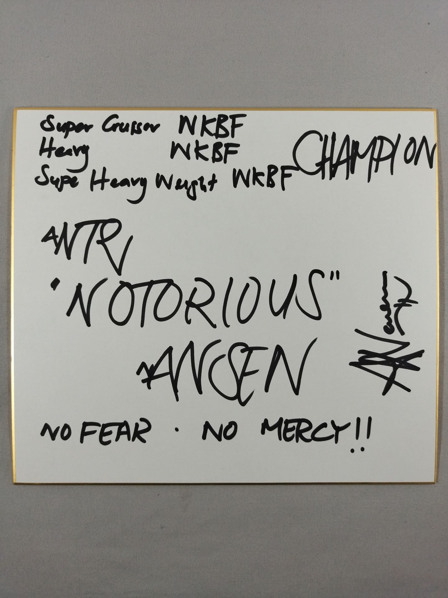 アンズ・“ノトリアス”・ナンセン