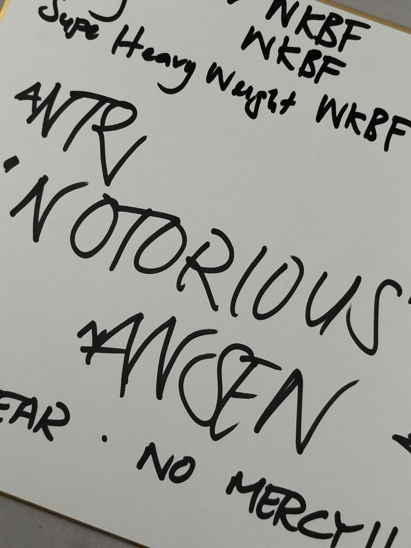 アンズ・“ノトリアス”・ナンセン