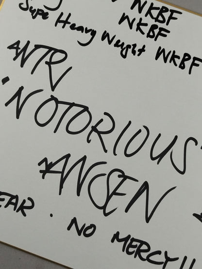 アンズ・“ノトリアス”・ナンセン