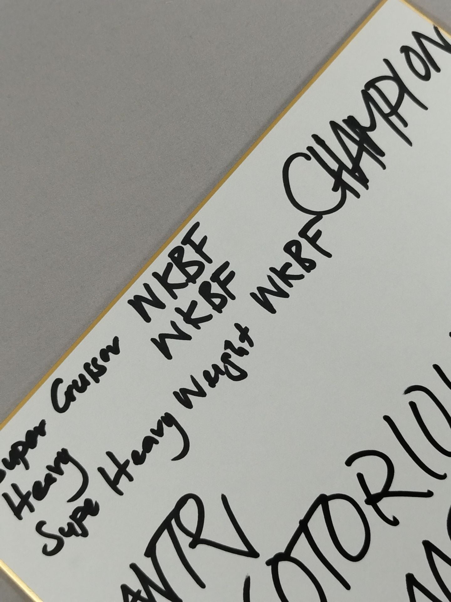 アンズ・“ノトリアス”・ナンセン