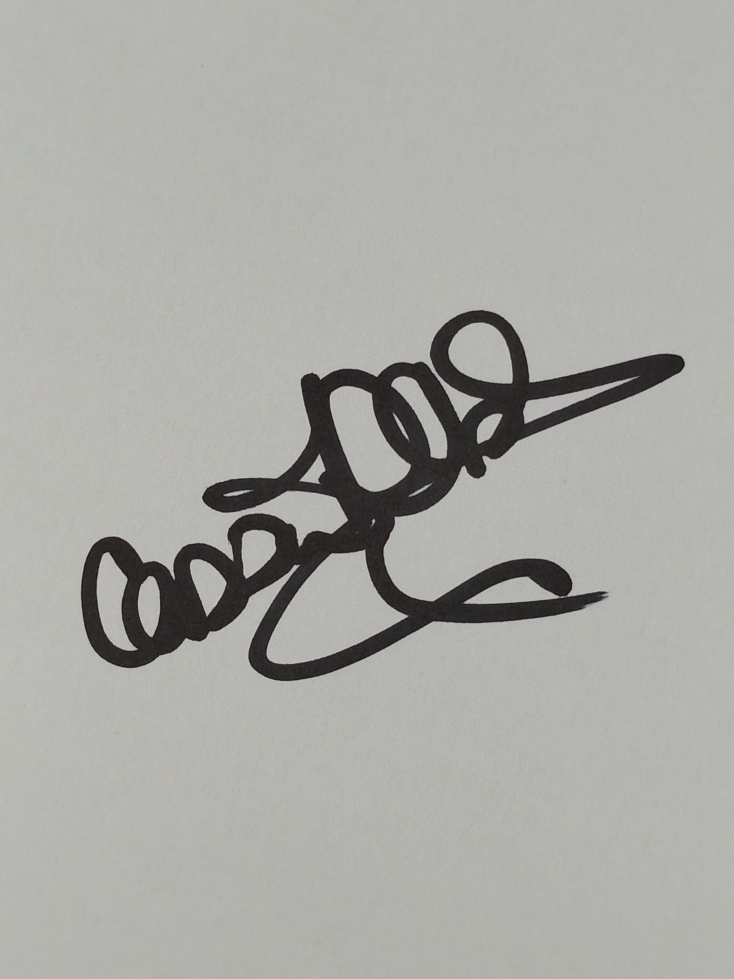 キャシー・ロブ