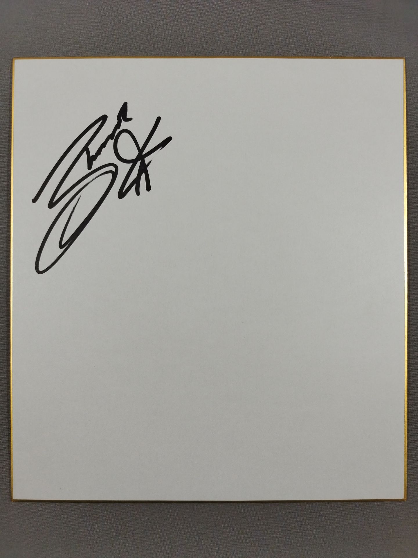 シーナ・スター