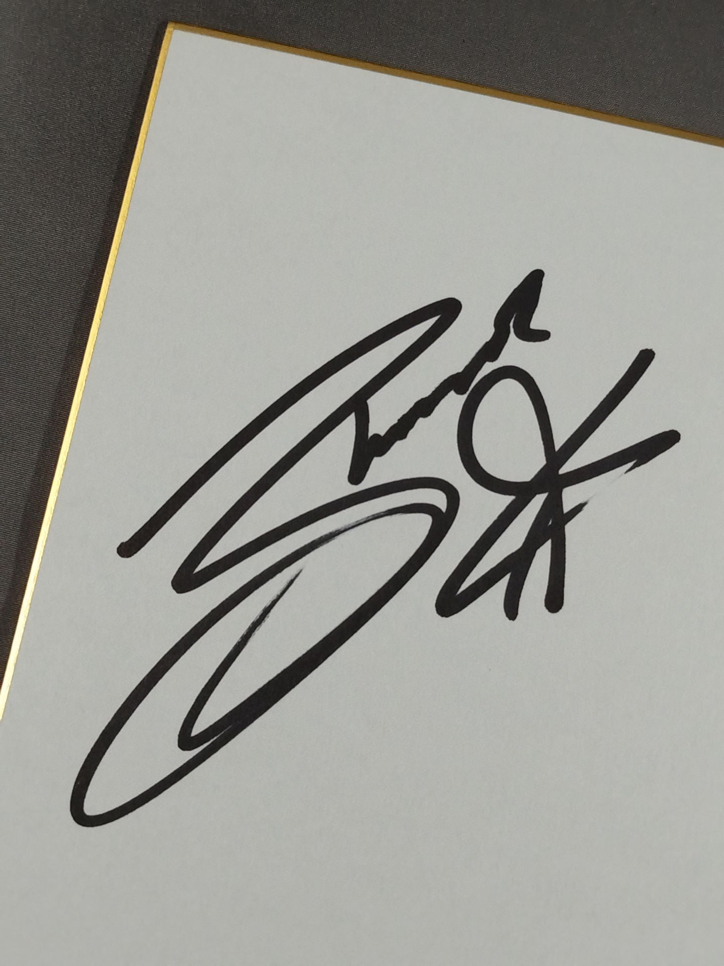 シーナ・スター