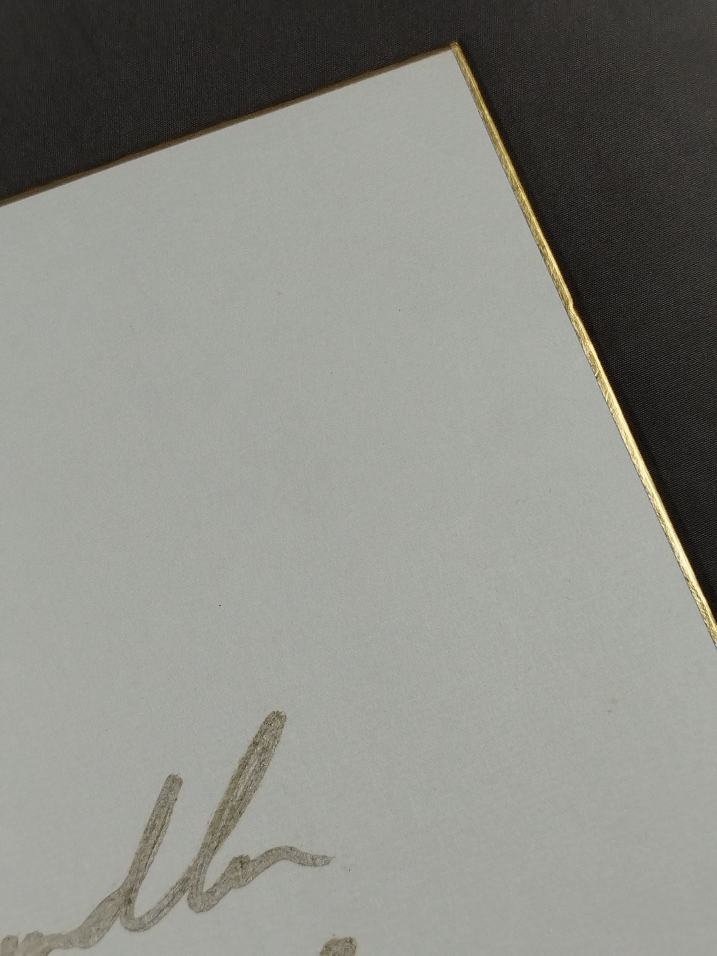 ダン・ホーンバックル(金字)