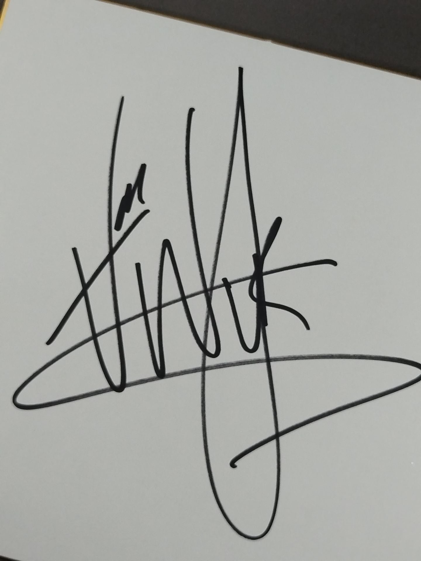 タイロン・ヴァン・ウィック