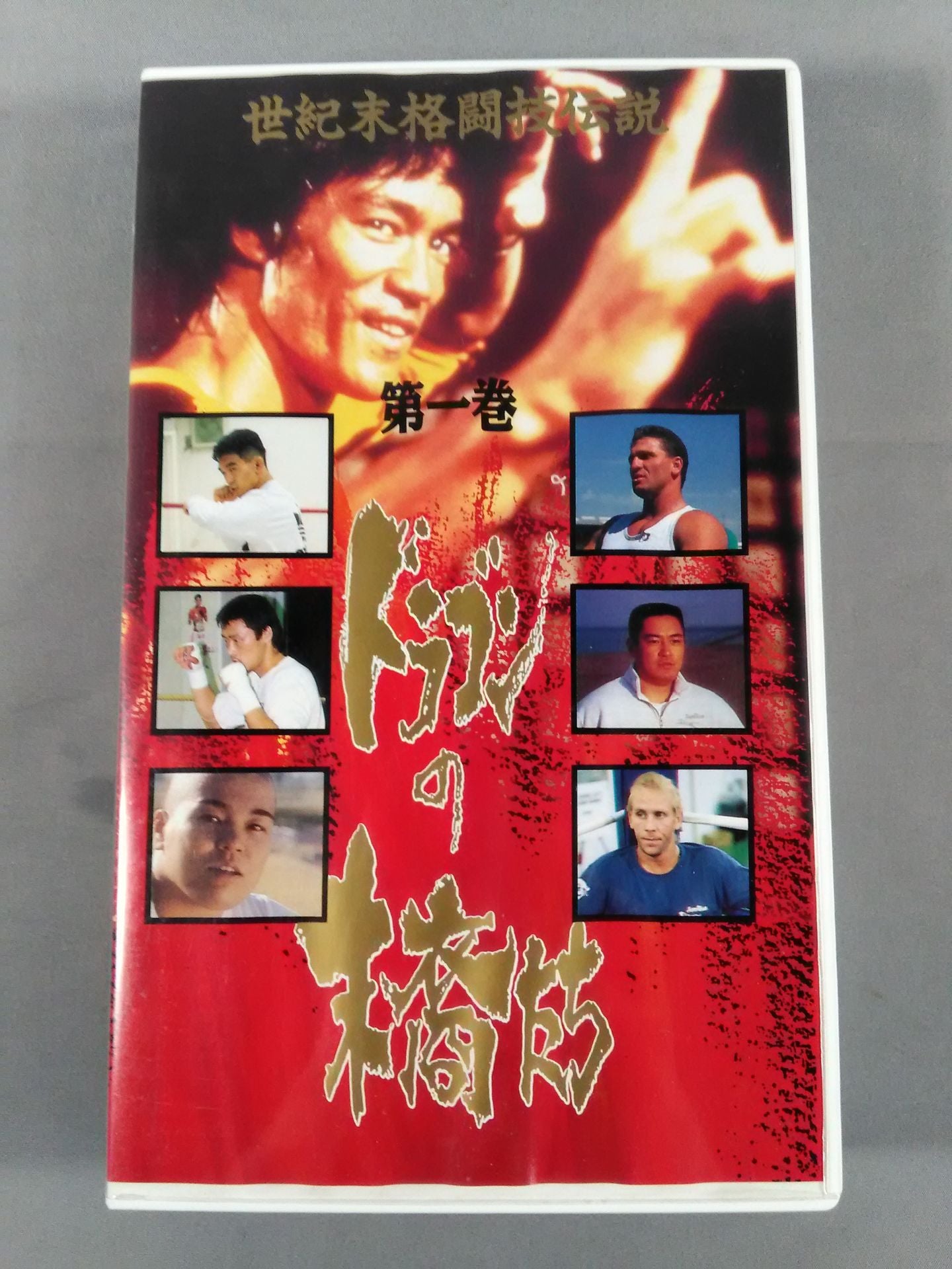 ドラゴンの末裔たち 世紀末格闘技伝説 第一巻