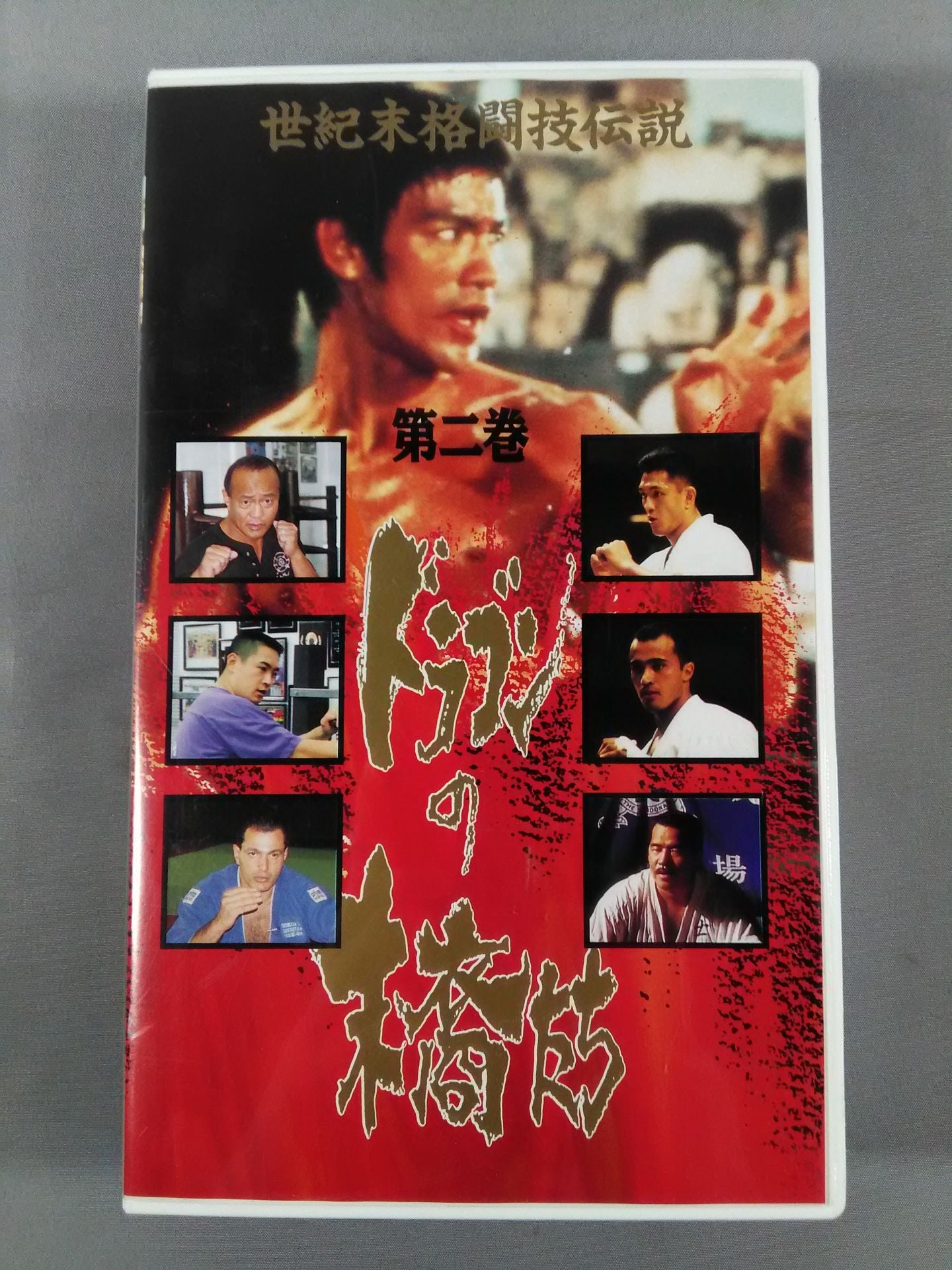 ドラゴンの末裔たち 世紀末格闘技伝説 第二巻