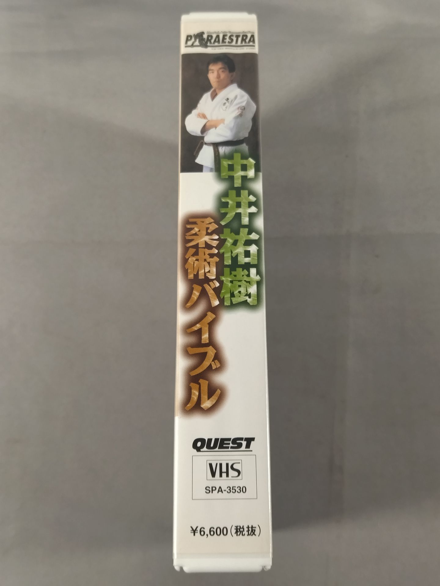 中井祐樹 柔術バイブル