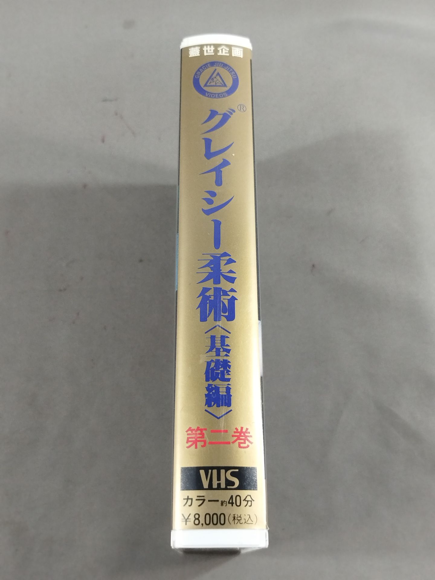 グレイシー柔術<基礎編> 第二巻