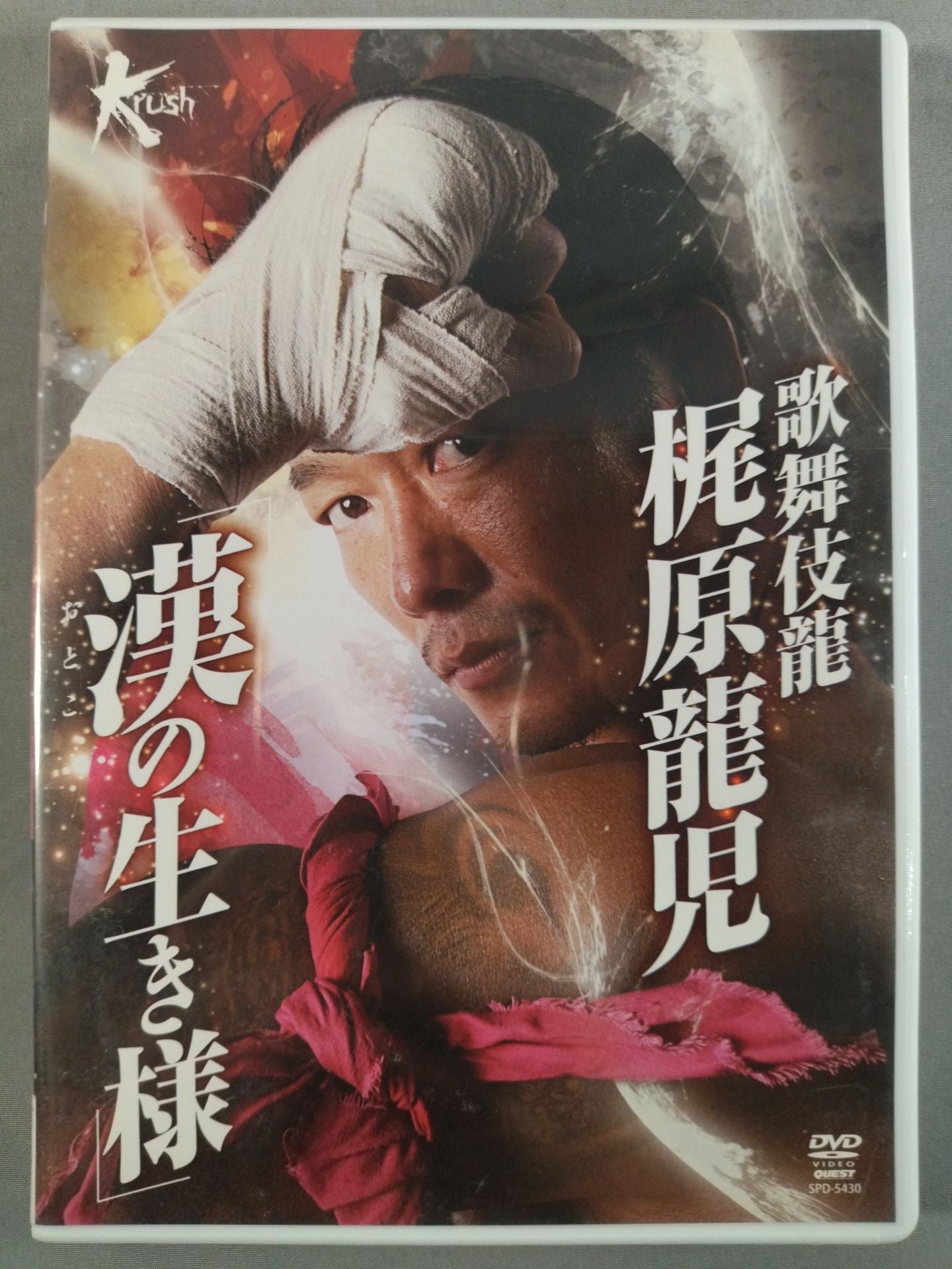 歌舞伎龍 梶原龍児