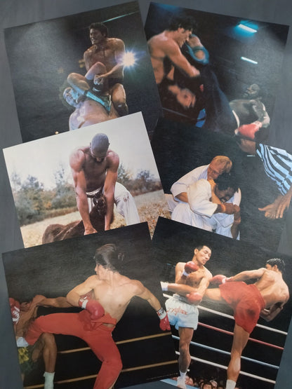 ★ With ★ 6 pin-ups, the best in the martial arts world, square jungle
