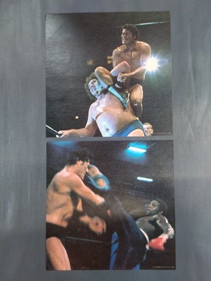 ★ With ★ 6 pin-ups, the best in the martial arts world, square jungle
