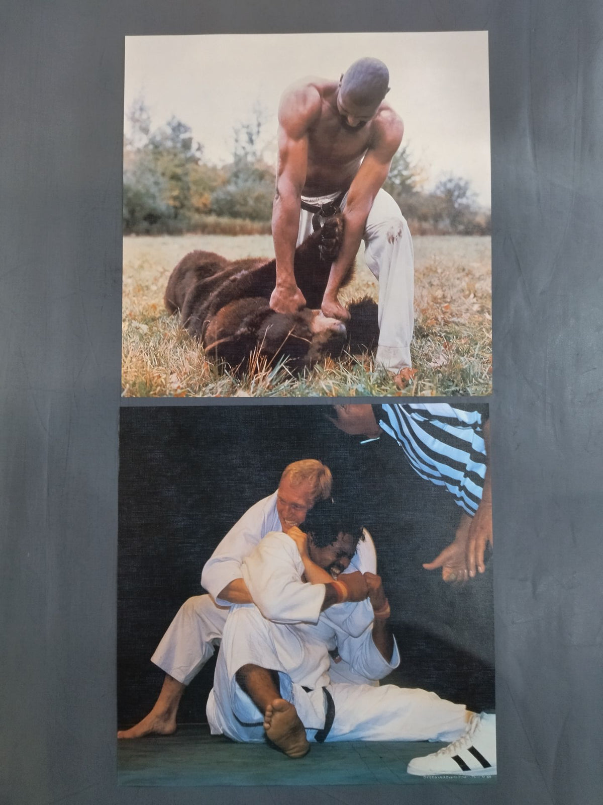 ★ With ★ 6 pin-ups, the best in the martial arts world, square jungle