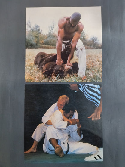 ★ With ★ 6 pin-ups, the best in the martial arts world, square jungle