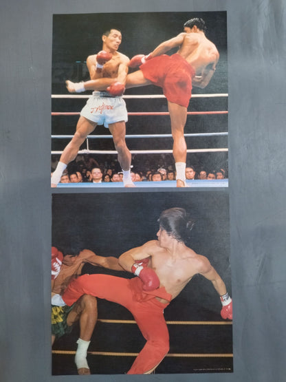 ★ With ★ 6 pin-ups, the best in the martial arts world, square jungle