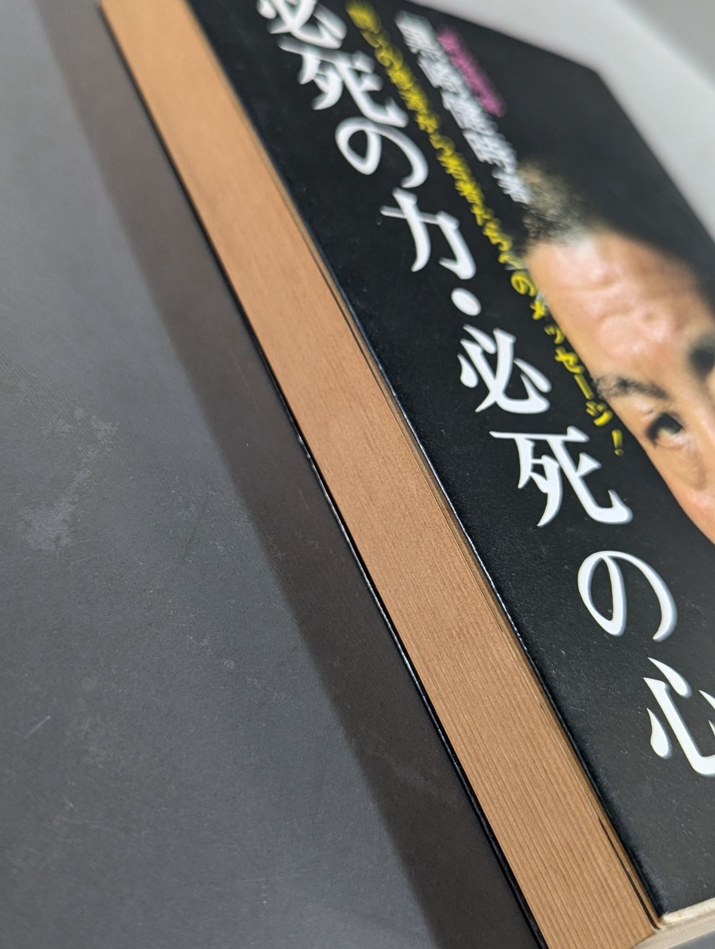 必死の力・必死の心