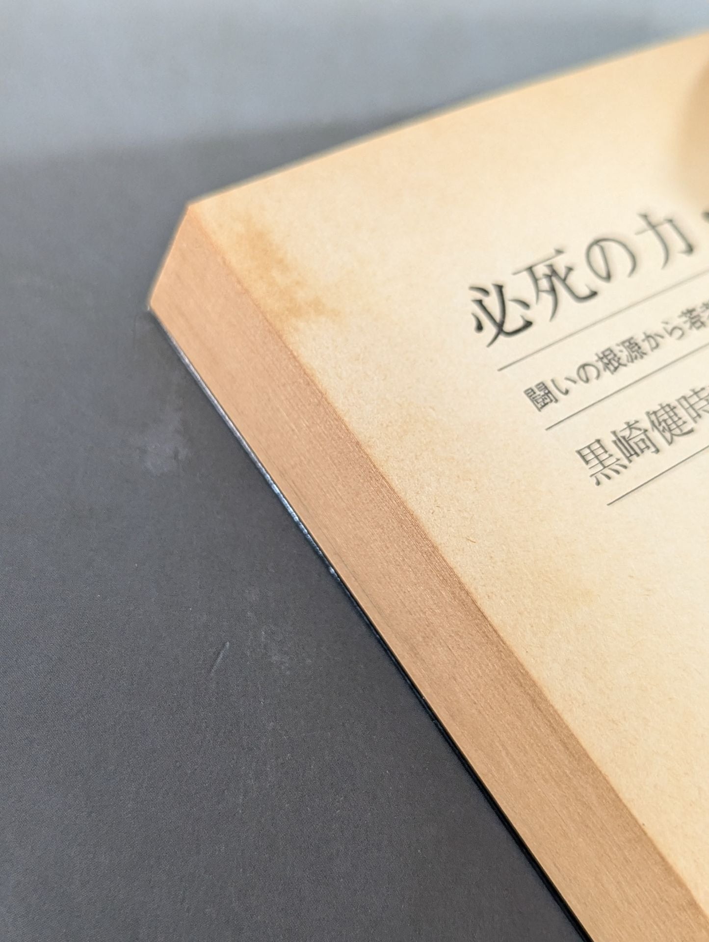 必死の力・必死の心