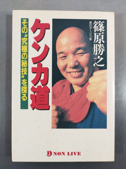 Fighting Path: Exploring the "Ultimate Secret Technique"