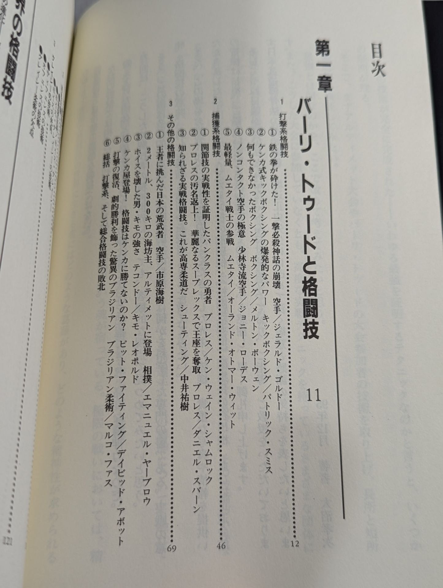 最強の格闘技は何か