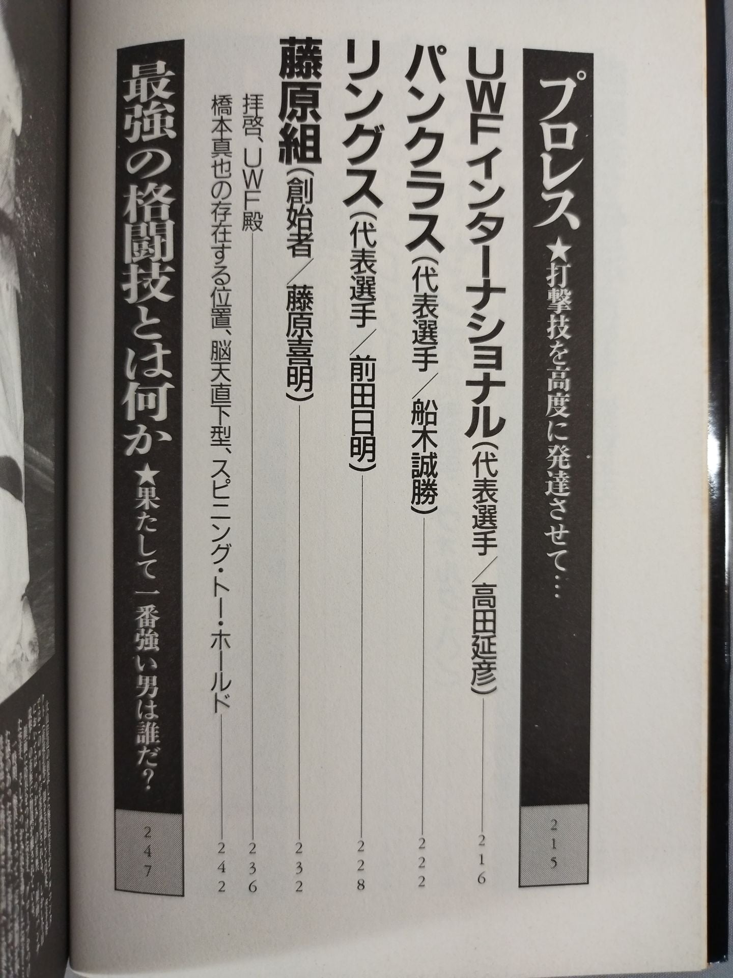 格闘王最強伝説