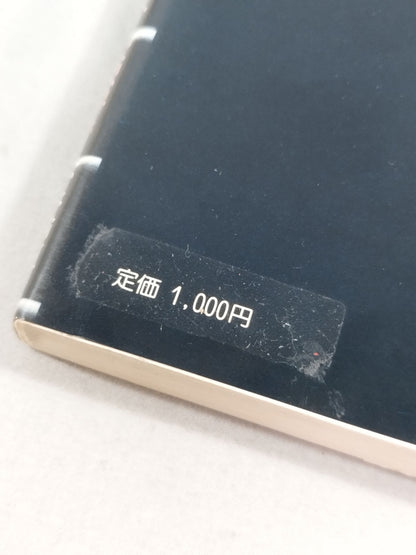 勇気ある挑戦 小さな巨人 大沢昇伝