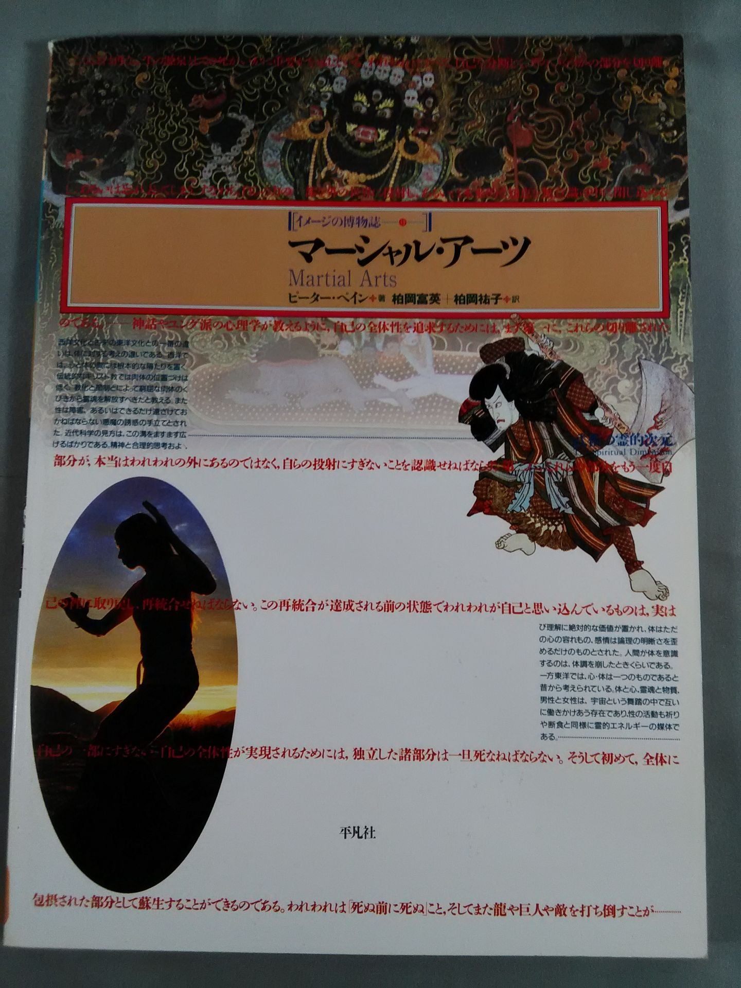 マーシャル・アーツ[イメージの博物誌19]