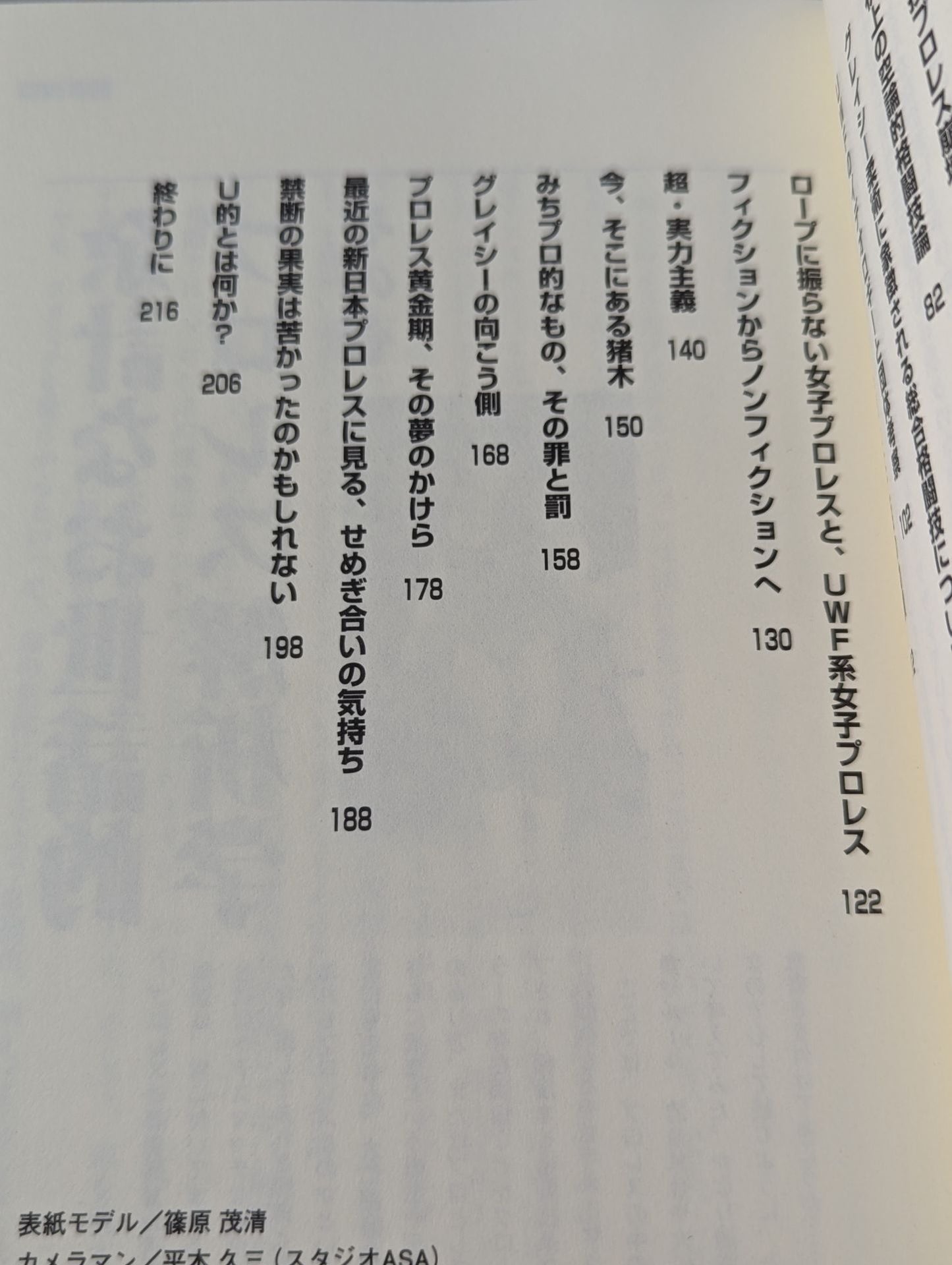 格闘耳袋
