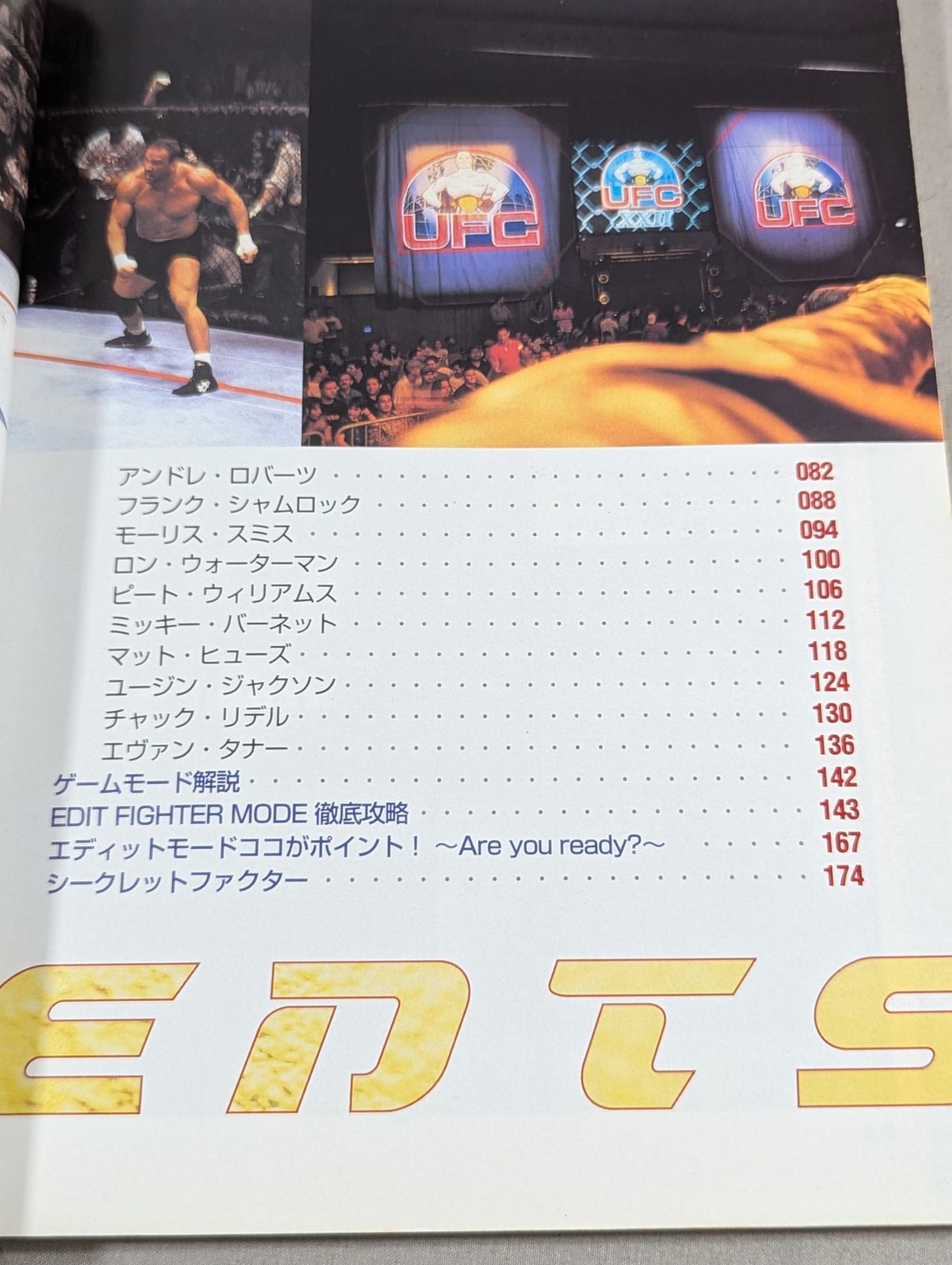 ULTIMATE FIGHTING CHAMPIONSHIP パーフェクトガイド